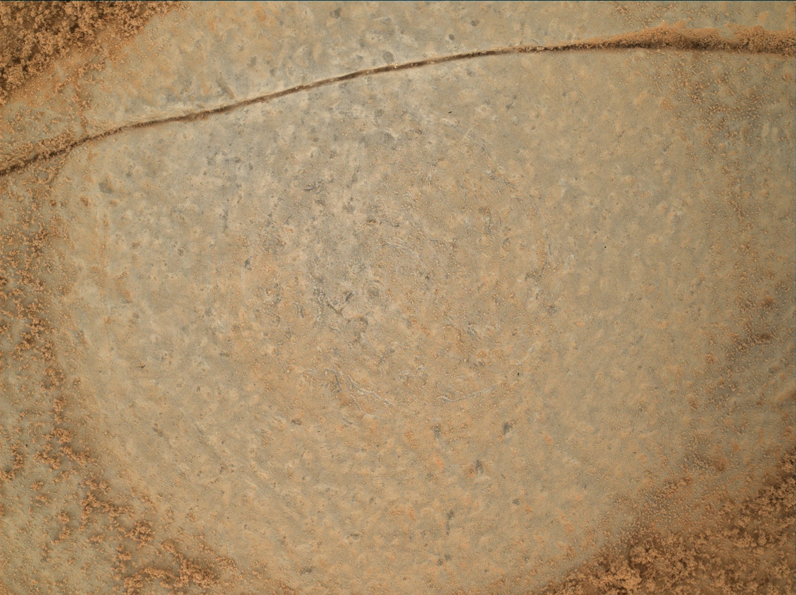 Nasa's Mars rover Curiosity acquired this image using its Mars Hand Lens Imager (MAHLI) on Sol 813