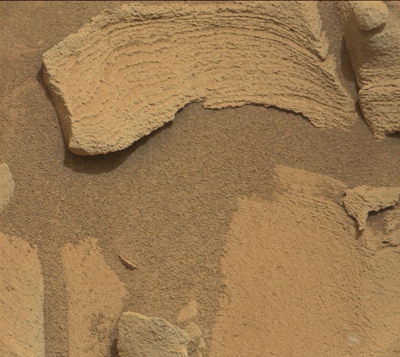 Nasa's Mars rover Curiosity acquired this image using its Mast Camera (Mastcam) on Sol 819