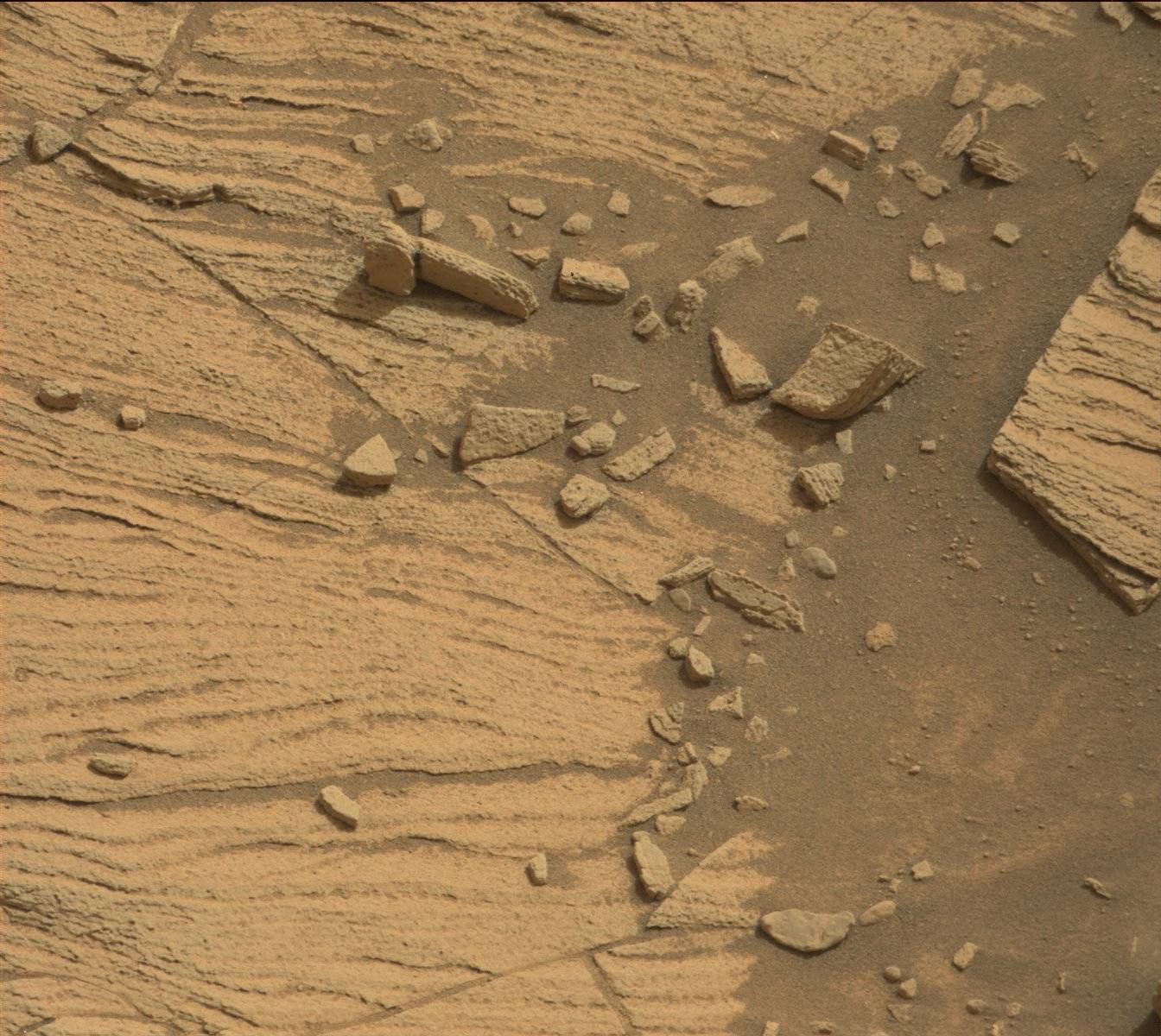 Nasa's Mars rover Curiosity acquired this image using its Mast Camera (Mastcam) on Sol 828