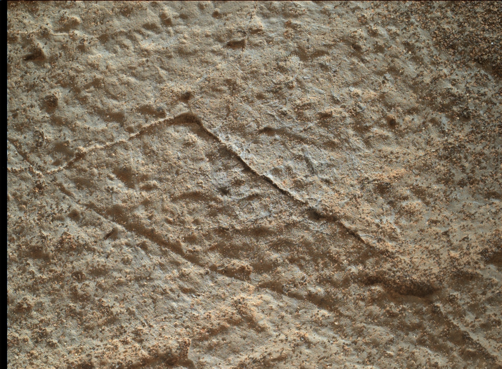 Nasa's Mars rover Curiosity acquired this image using its Mars Hand Lens Imager (MAHLI) on Sol 830