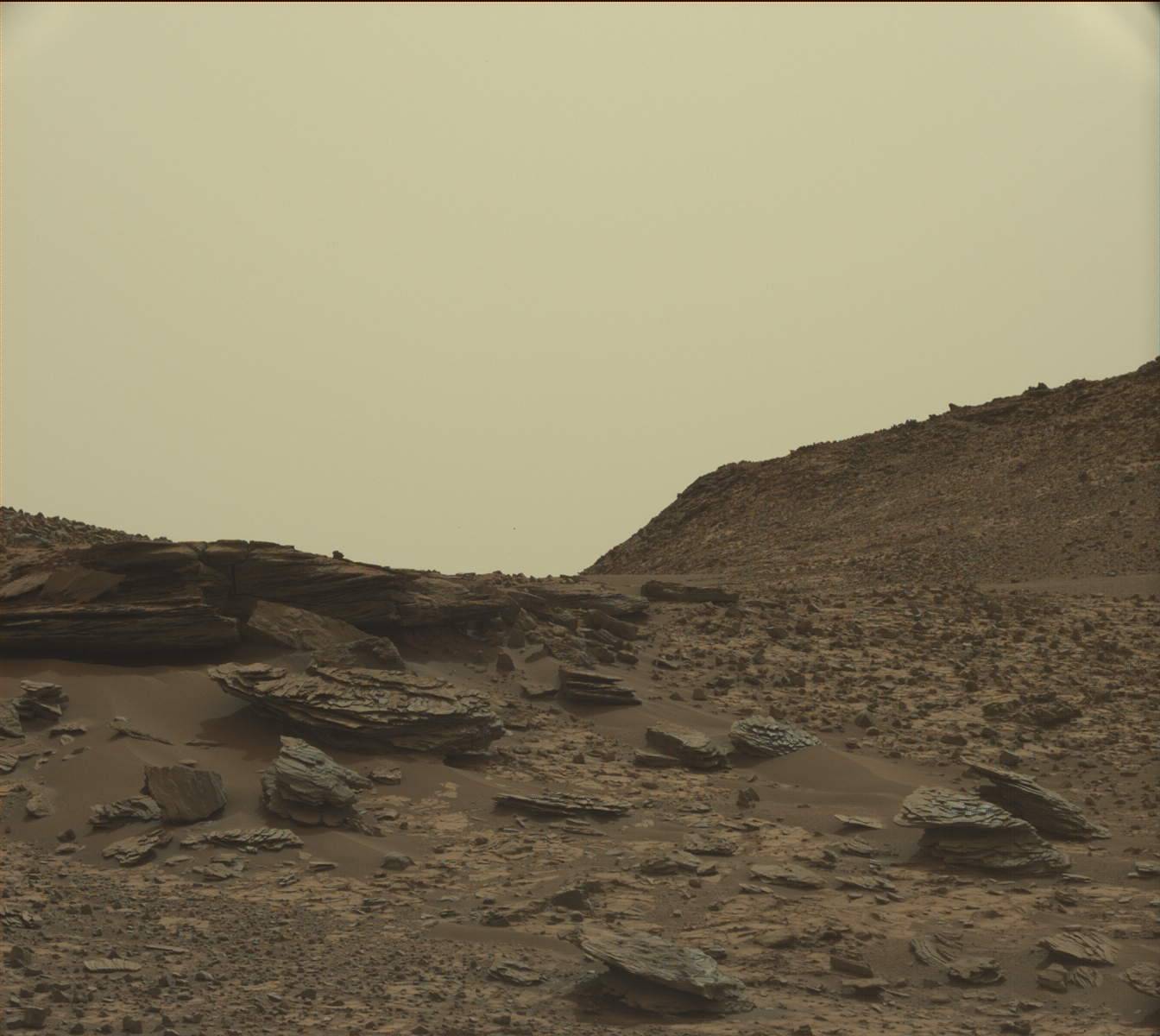 Nasa's Mars rover Curiosity acquired this image using its Mast Camera (Mastcam) on Sol 831