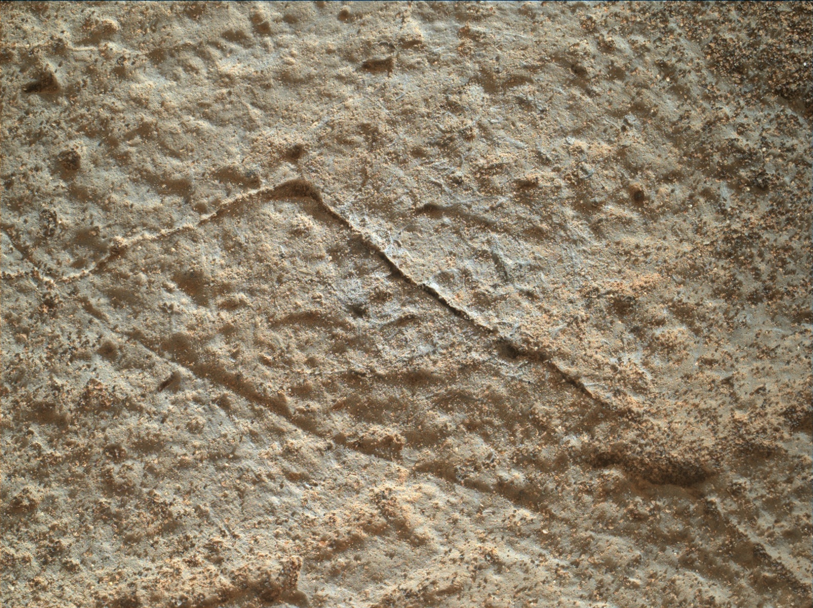Nasa's Mars rover Curiosity acquired this image using its Mars Hand Lens Imager (MAHLI) on Sol 831