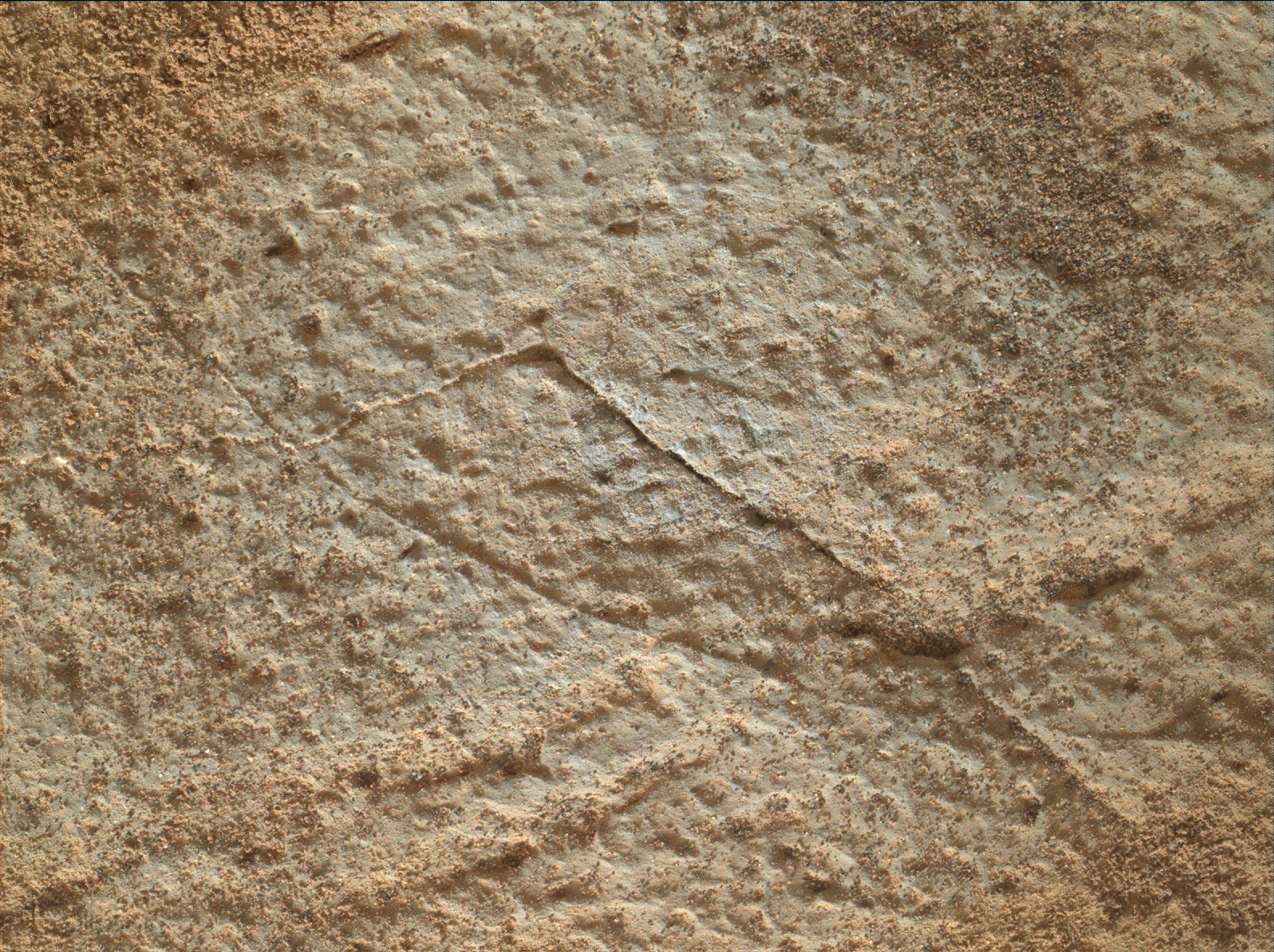 Nasa's Mars rover Curiosity acquired this image using its Mars Hand Lens Imager (MAHLI) on Sol 831