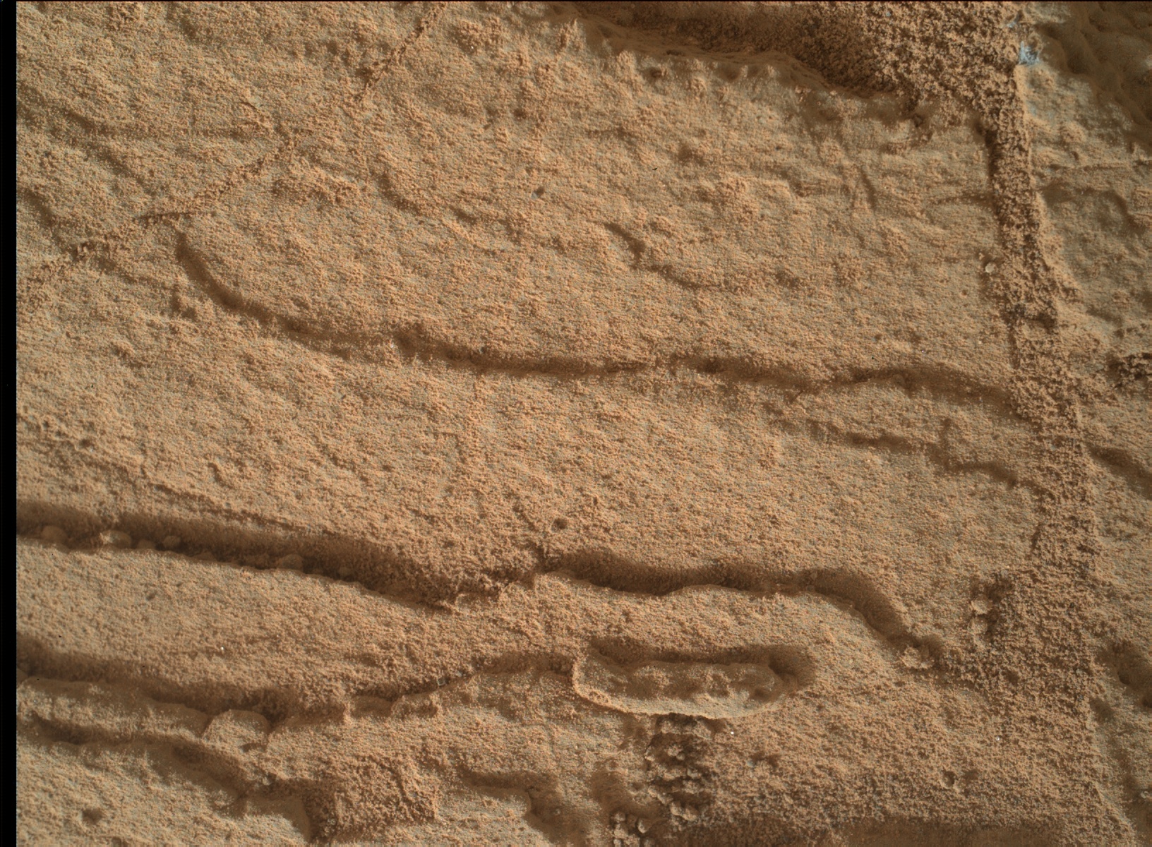 Nasa's Mars rover Curiosity acquired this image using its Mars Hand Lens Imager (MAHLI) on Sol 833