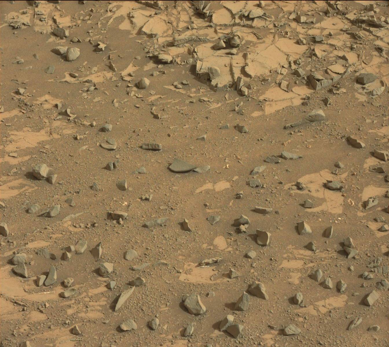 Nasa's Mars rover Curiosity acquired this image using its Mast Camera (Mastcam) on Sol 835