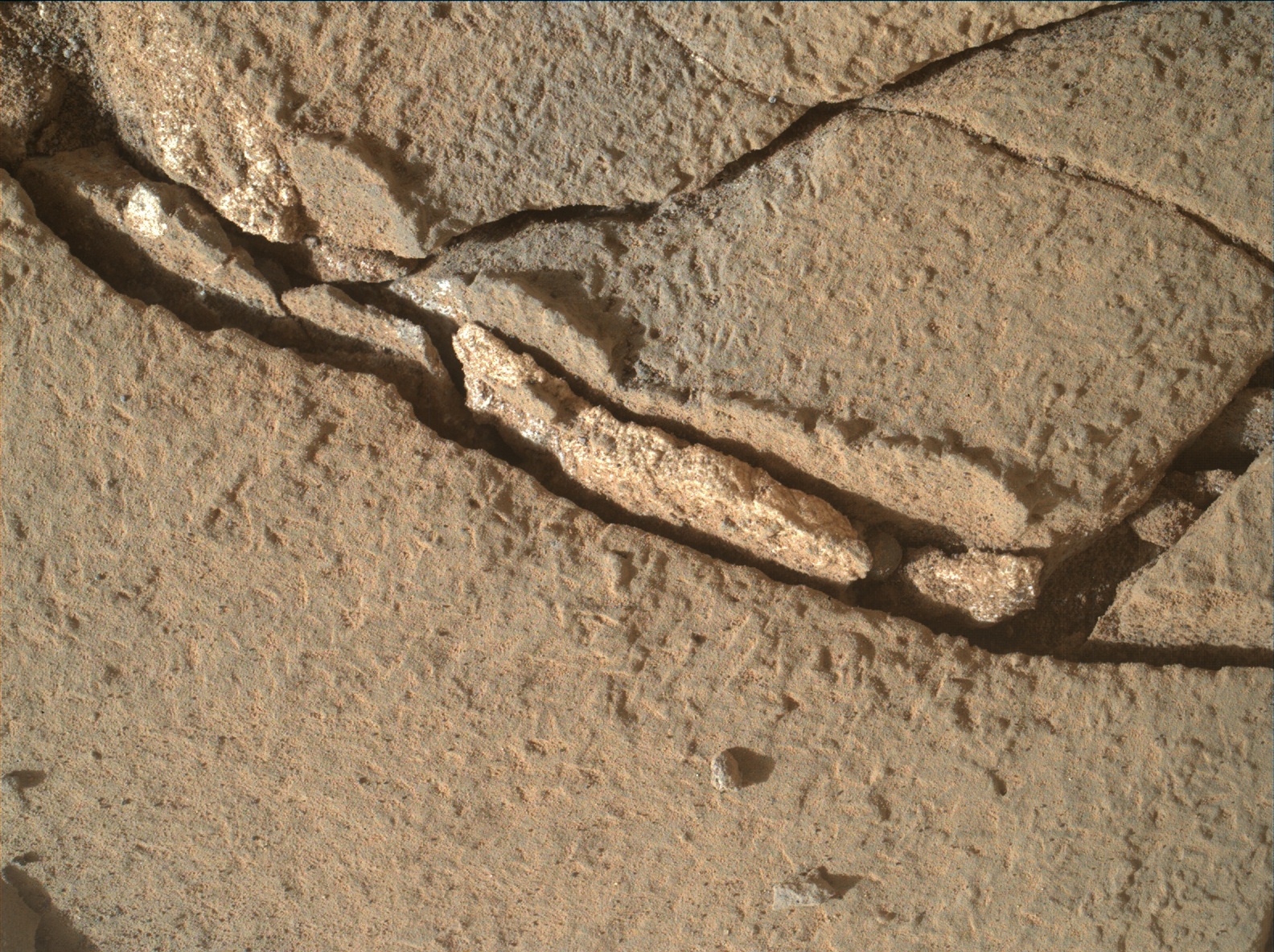 Nasa's Mars rover Curiosity acquired this image using its Mars Hand Lens Imager (MAHLI) on Sol 889