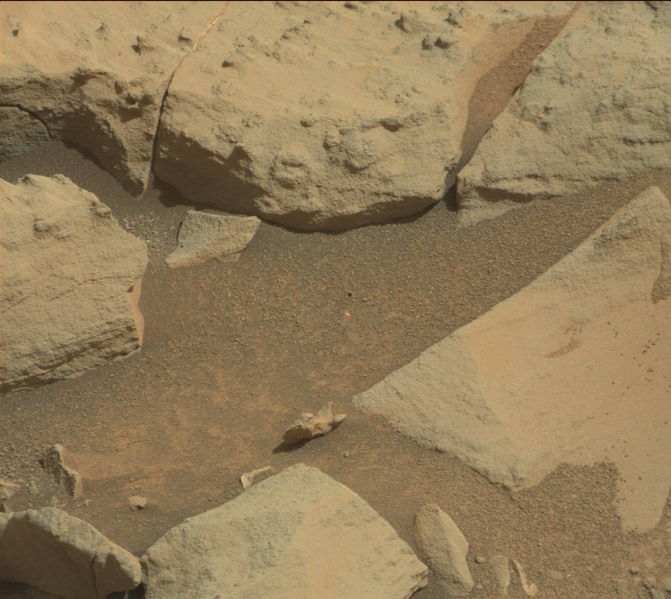 Nasa's Mars rover Curiosity acquired this image using its Mast Camera (Mastcam) on Sol 892
