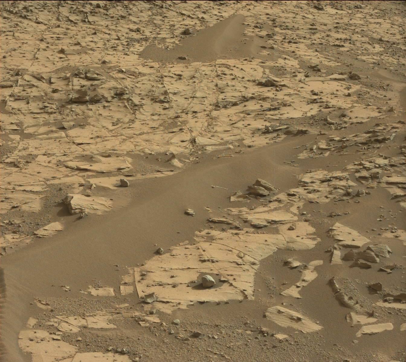 Nasa's Mars rover Curiosity acquired this image using its Mast Camera (Mastcam) on Sol 896