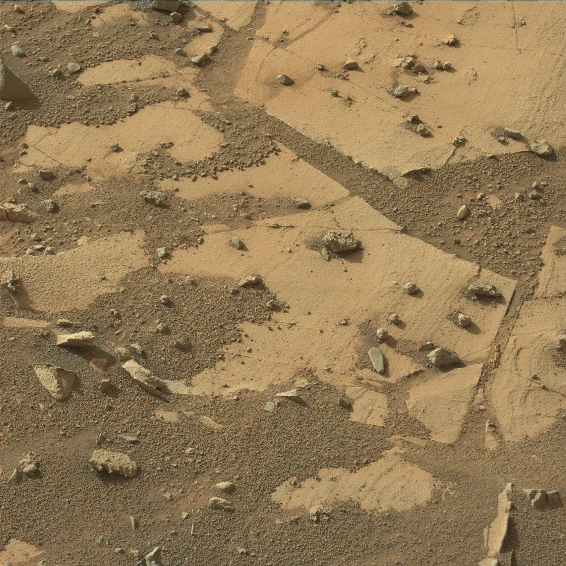 Nasa's Mars rover Curiosity acquired this image using its Mast Camera (Mastcam) on Sol 896