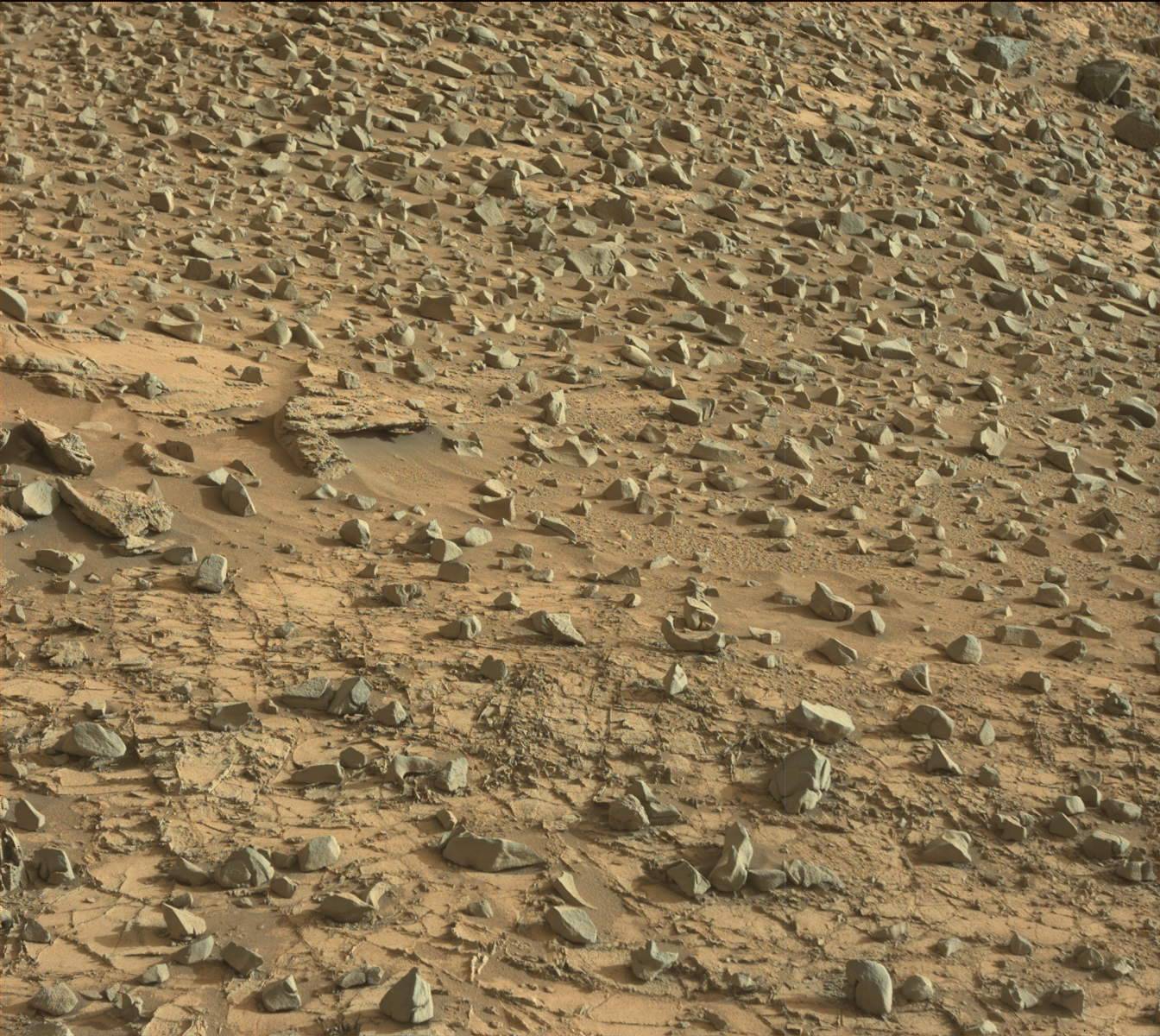 Nasa's Mars rover Curiosity acquired this image using its Mast Camera (Mastcam) on Sol 904