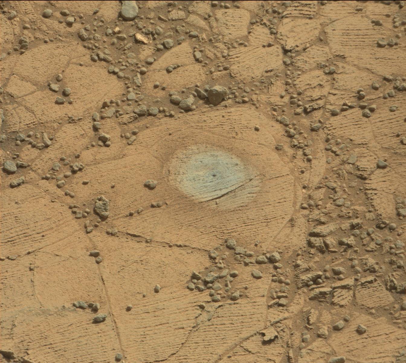 Nasa's Mars rover Curiosity acquired this image using its Mast Camera (Mastcam) on Sol 905