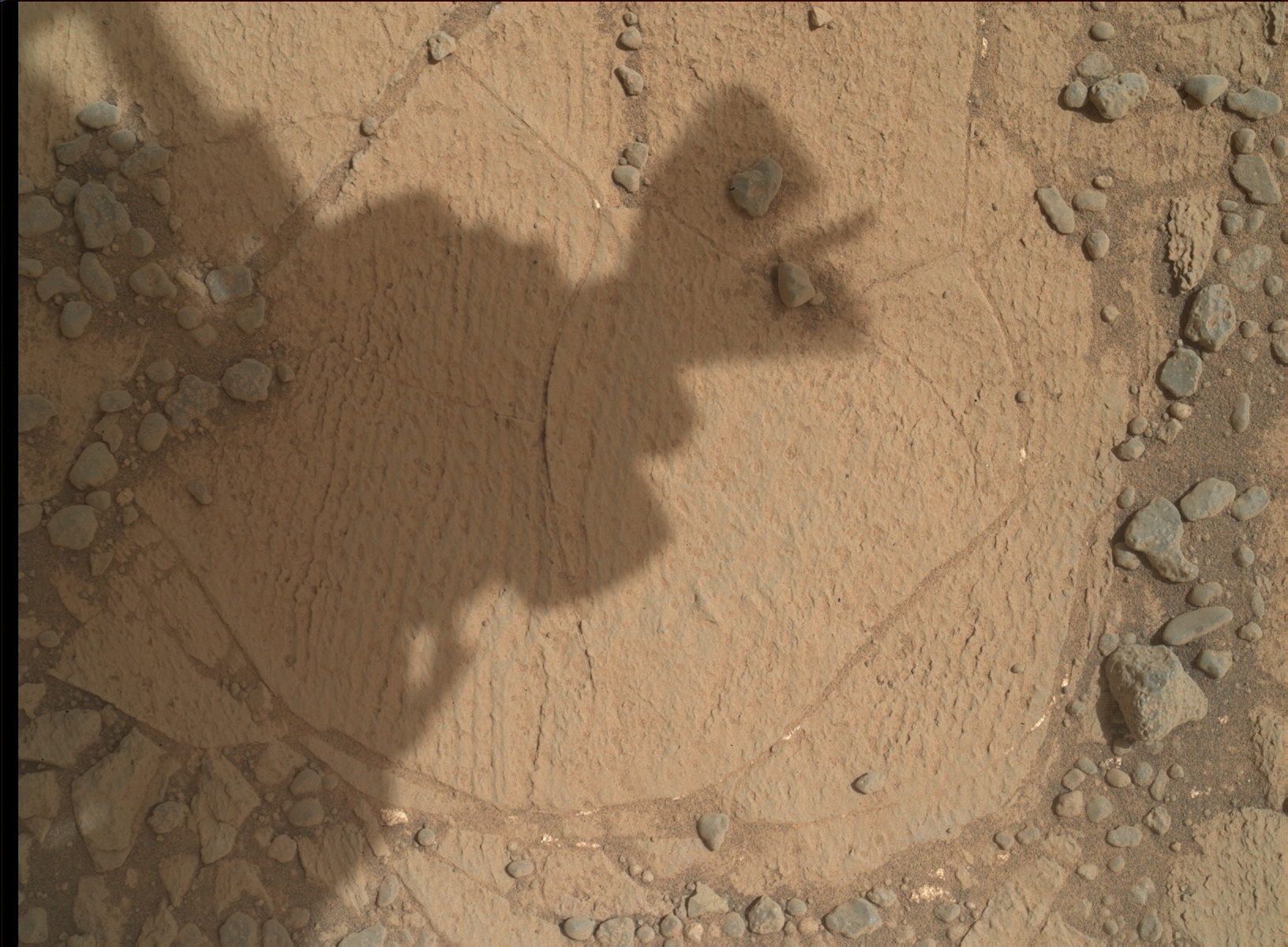 Nasa's Mars rover Curiosity acquired this image using its Mars Hand Lens Imager (MAHLI) on Sol 905