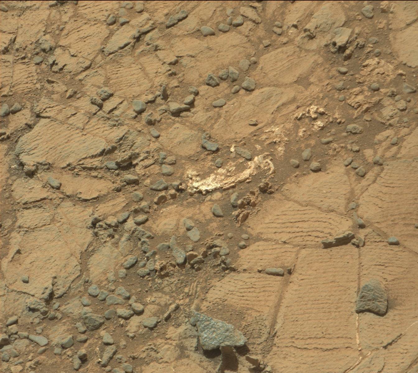 Nasa's Mars rover Curiosity acquired this image using its Mast Camera (Mastcam) on Sol 909