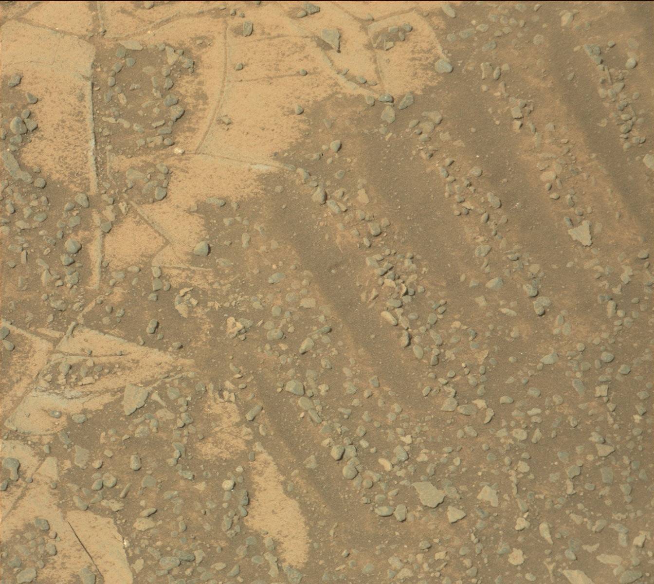 Nasa's Mars rover Curiosity acquired this image using its Mast Camera (Mastcam) on Sol 910