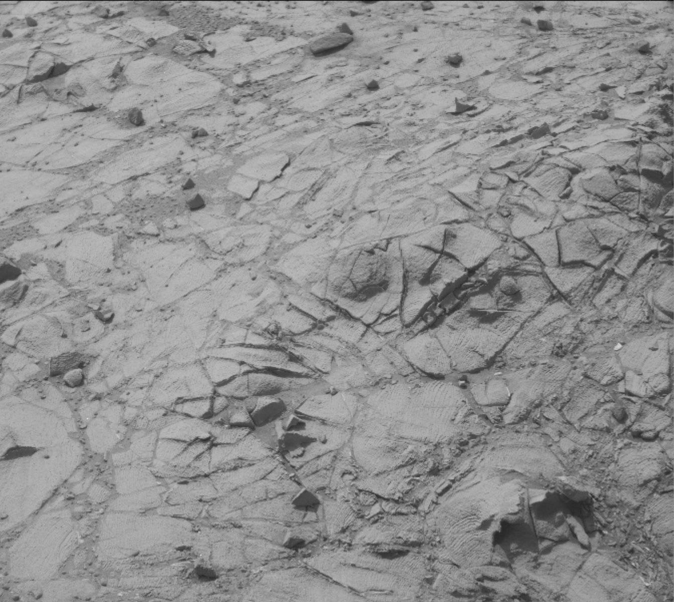 Nasa's Mars rover Curiosity acquired this image using its Mast Camera (Mastcam) on Sol 915