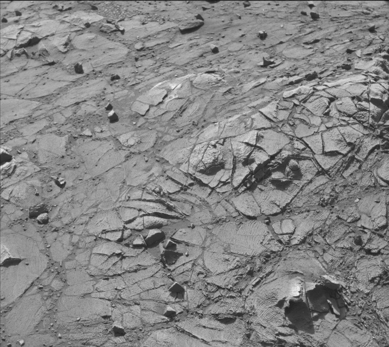 Nasa's Mars rover Curiosity acquired this image using its Mast Camera (Mastcam) on Sol 916