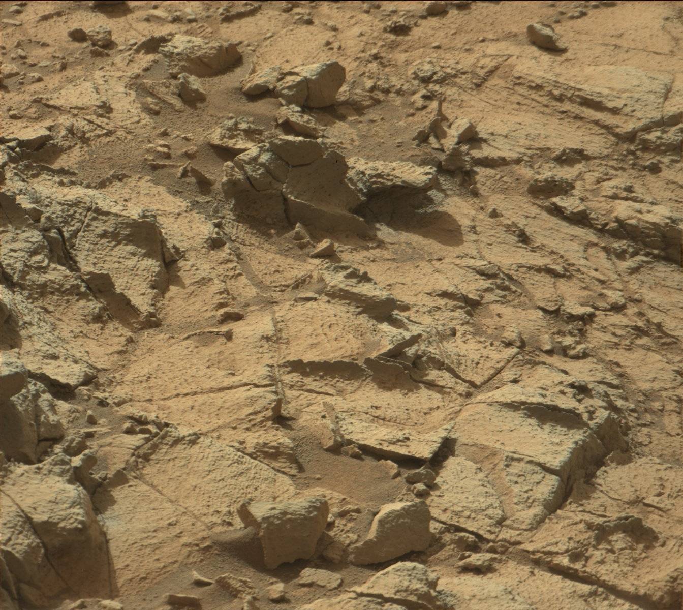 Nasa's Mars rover Curiosity acquired this image using its Mast Camera (Mastcam) on Sol 919