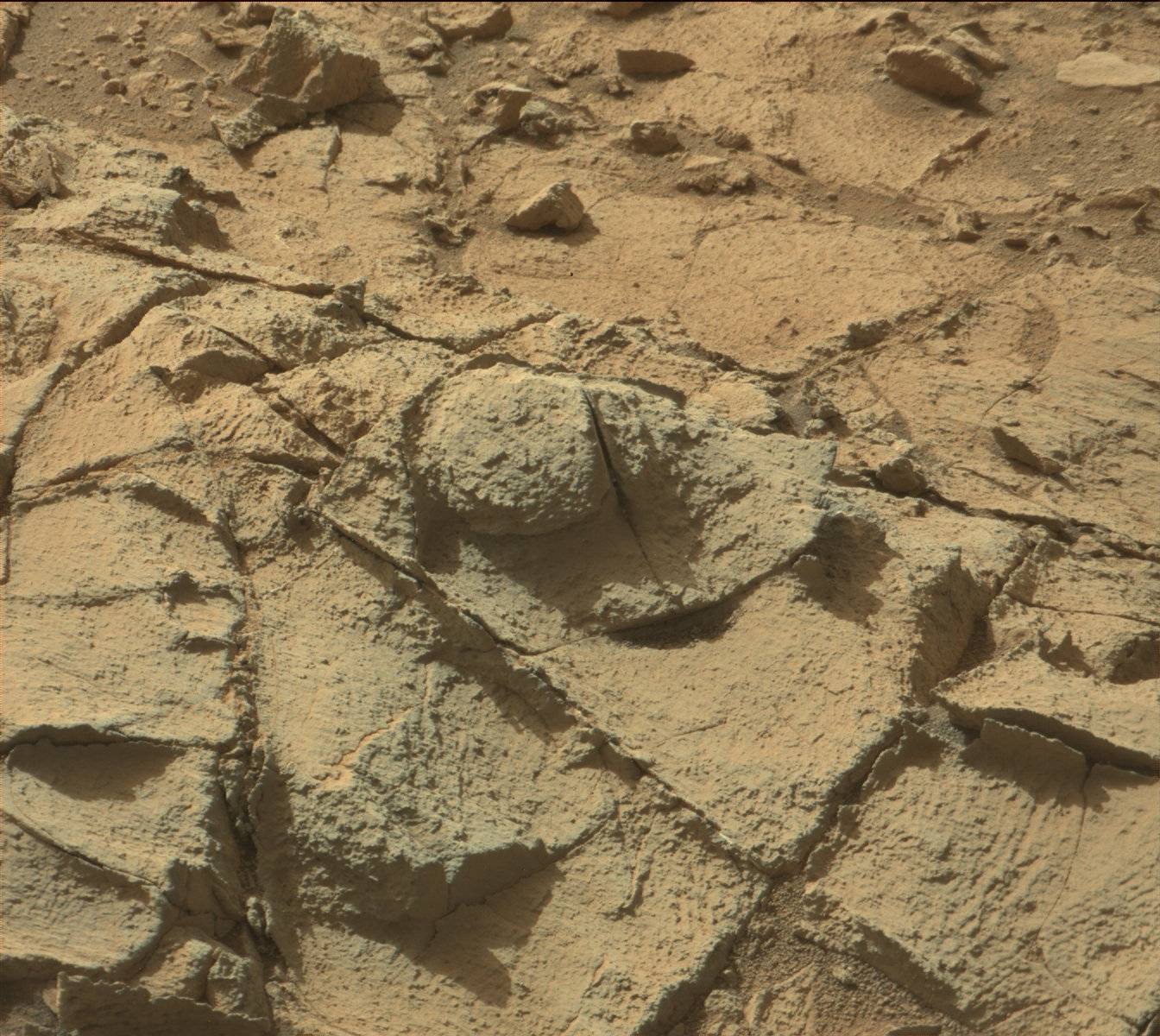 Nasa's Mars rover Curiosity acquired this image using its Mast Camera (Mastcam) on Sol 919