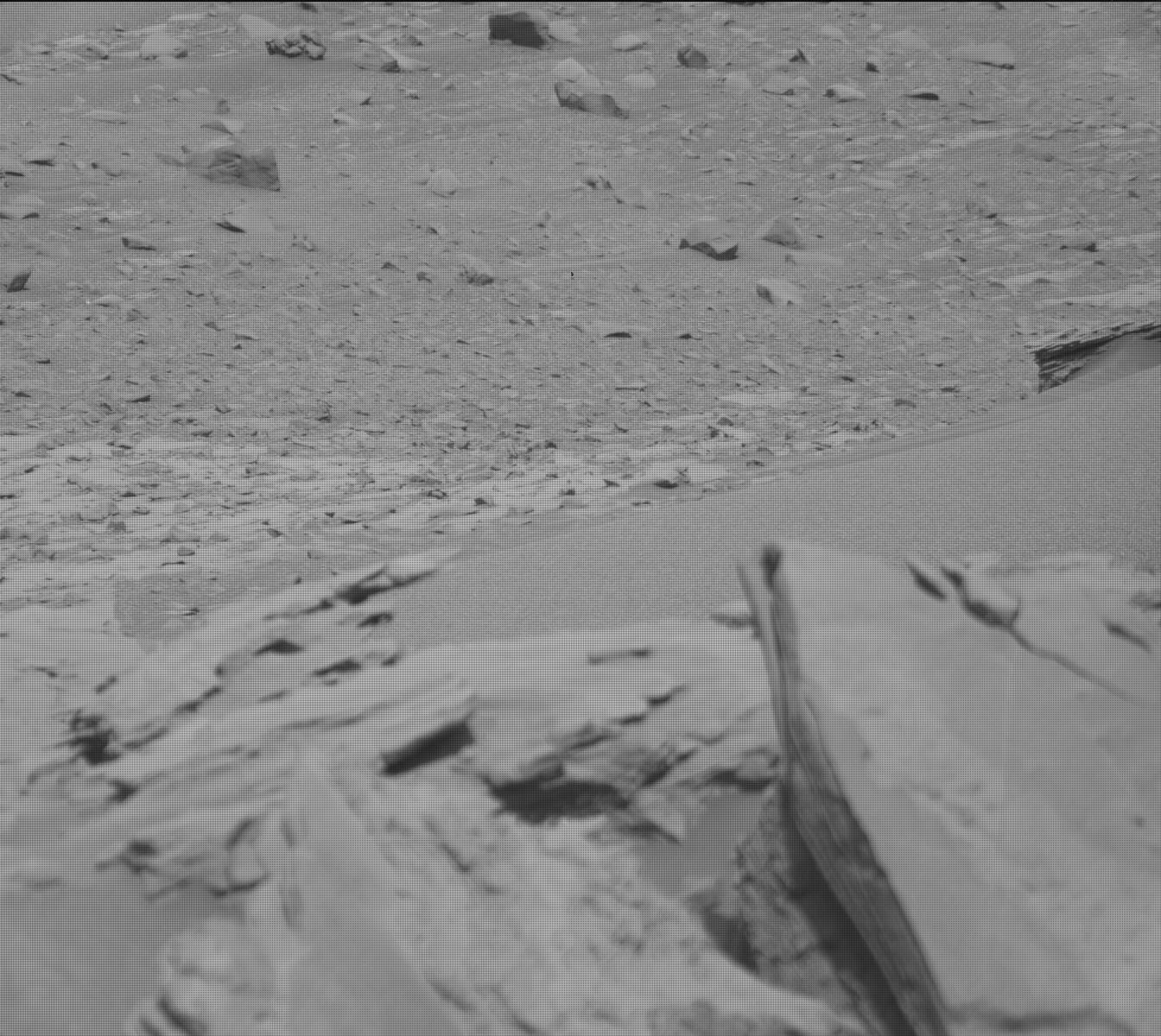 Nasa's Mars rover Curiosity acquired this image using its Mast Camera (Mastcam) on Sol 921
