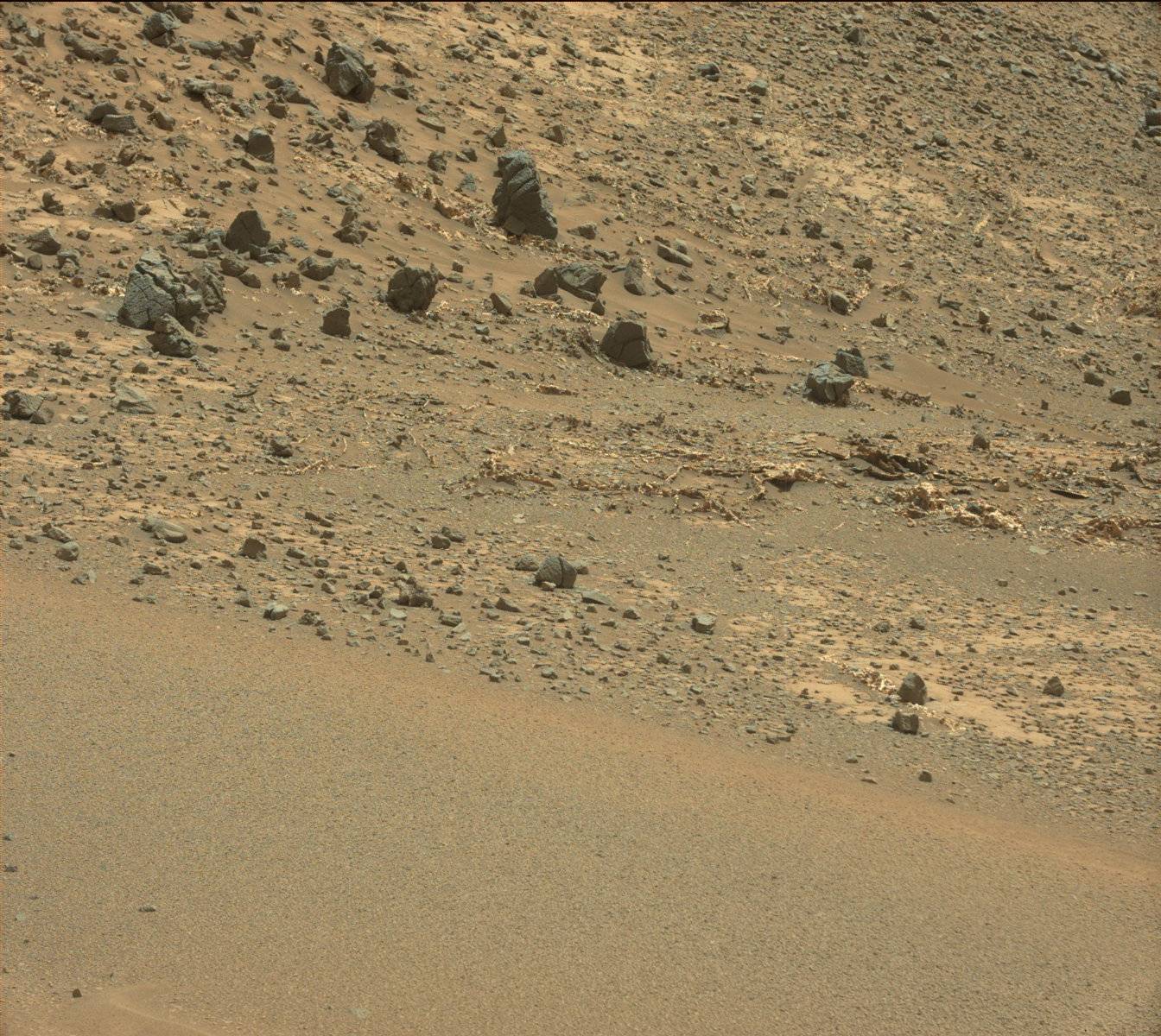 Nasa's Mars rover Curiosity acquired this image using its Mast Camera (Mastcam) on Sol 923