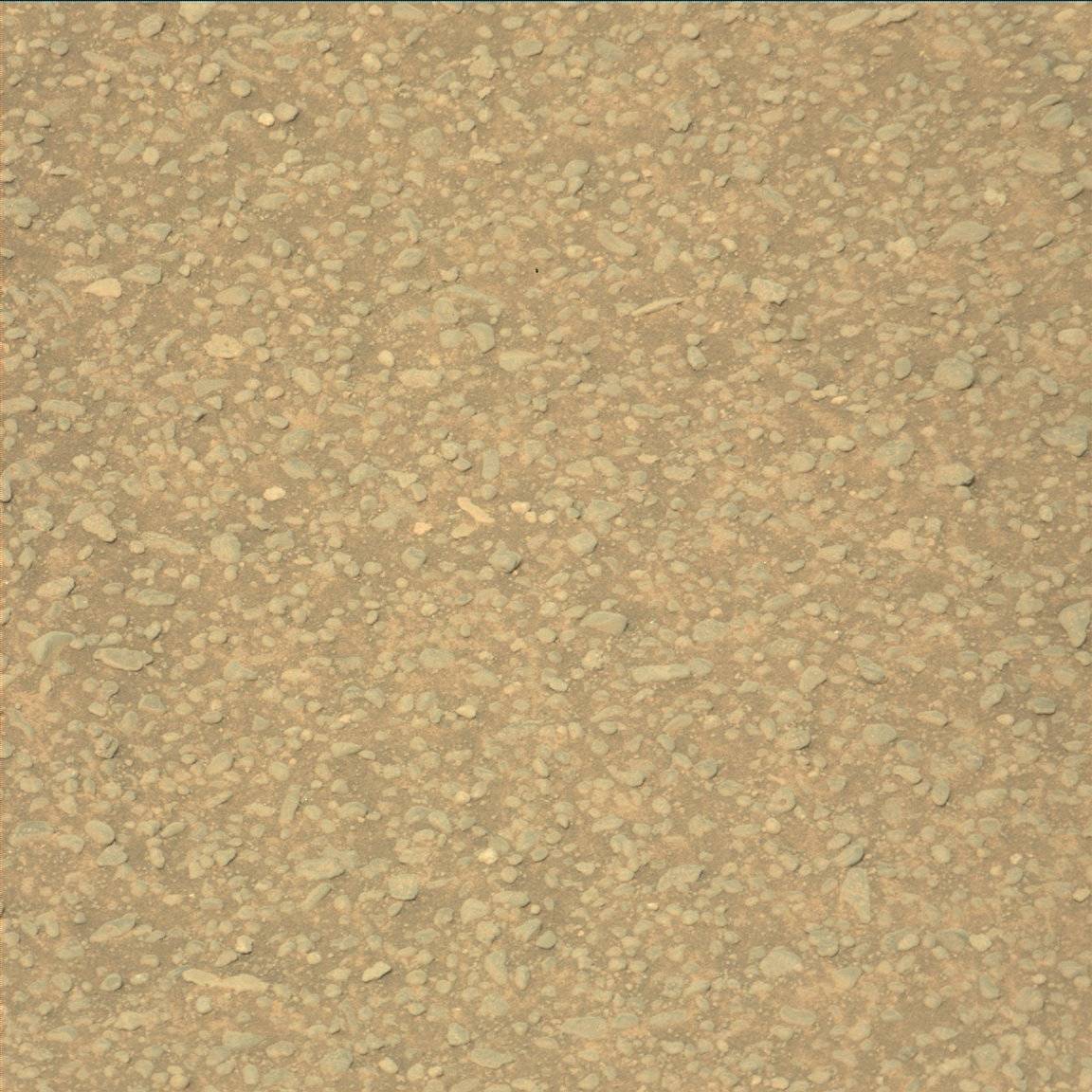 Nasa's Mars rover Curiosity acquired this image using its Mast Camera (Mastcam) on Sol 923