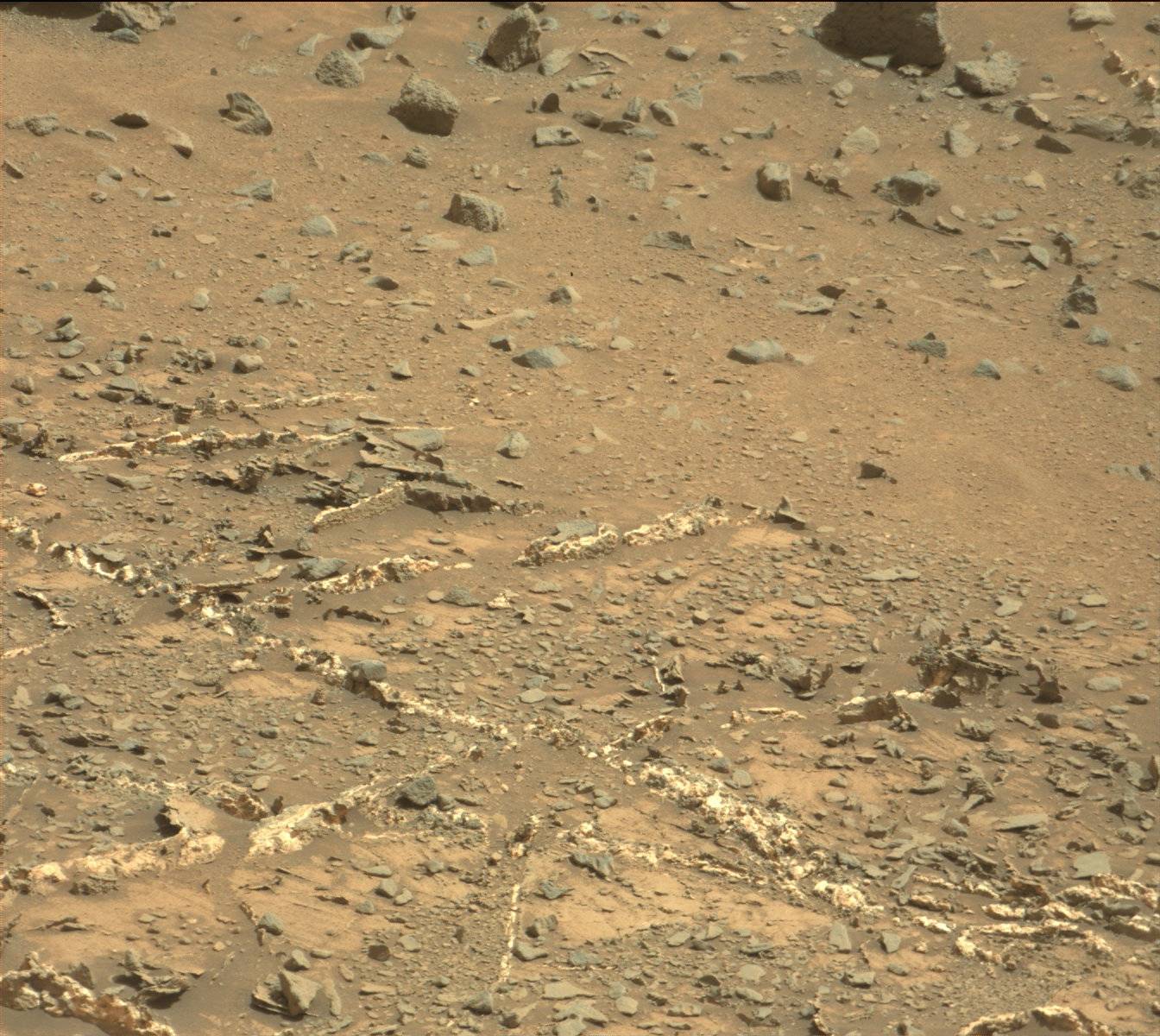 Nasa's Mars rover Curiosity acquired this image using its Mast Camera (Mastcam) on Sol 925