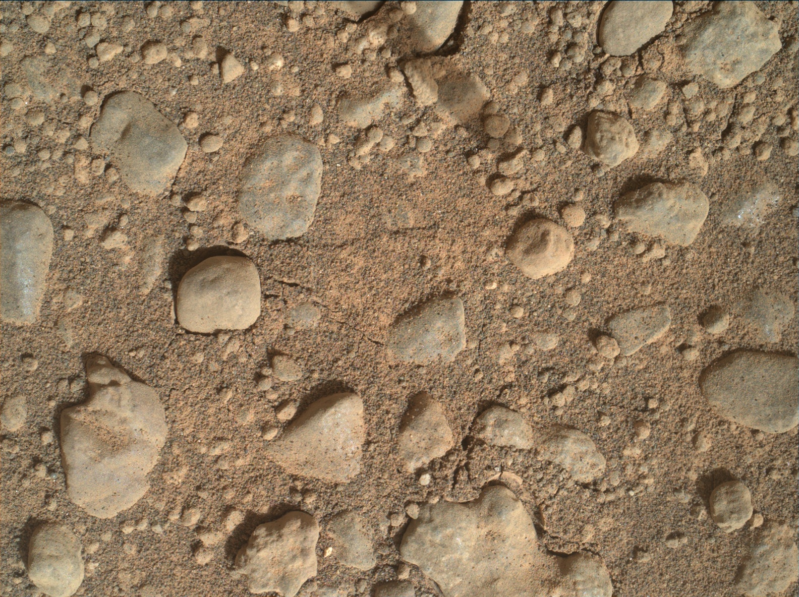 Nasa's Mars rover Curiosity acquired this image using its Mars Hand Lens Imager (MAHLI) on Sol 955