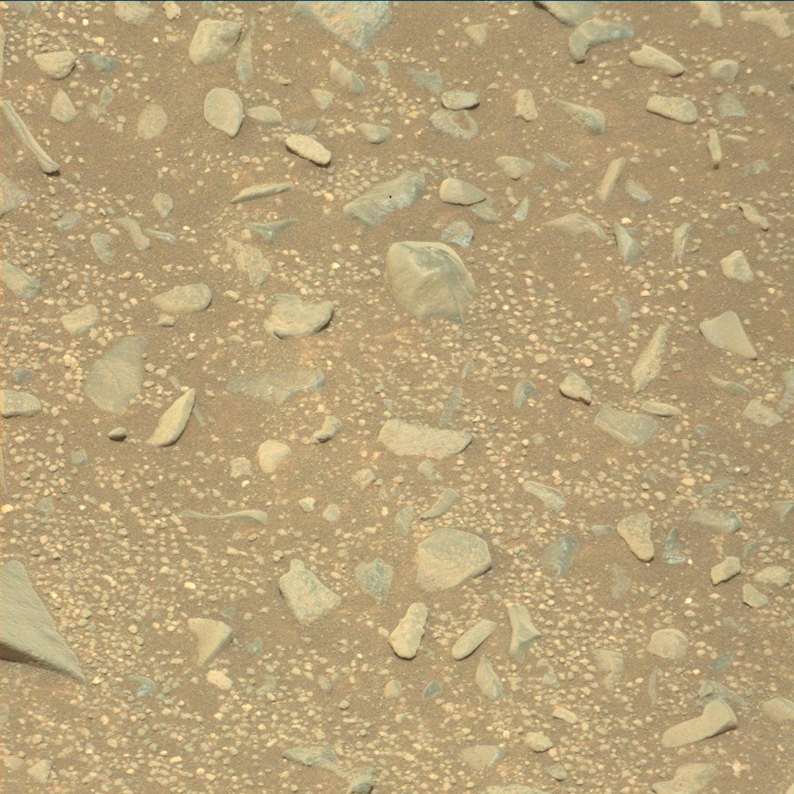Nasa's Mars rover Curiosity acquired this image using its Mast Camera (Mastcam) on Sol 956