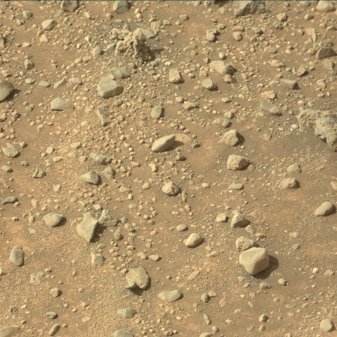 Nasa's Mars rover Curiosity acquired this image using its Mast Camera (Mastcam) on Sol 960