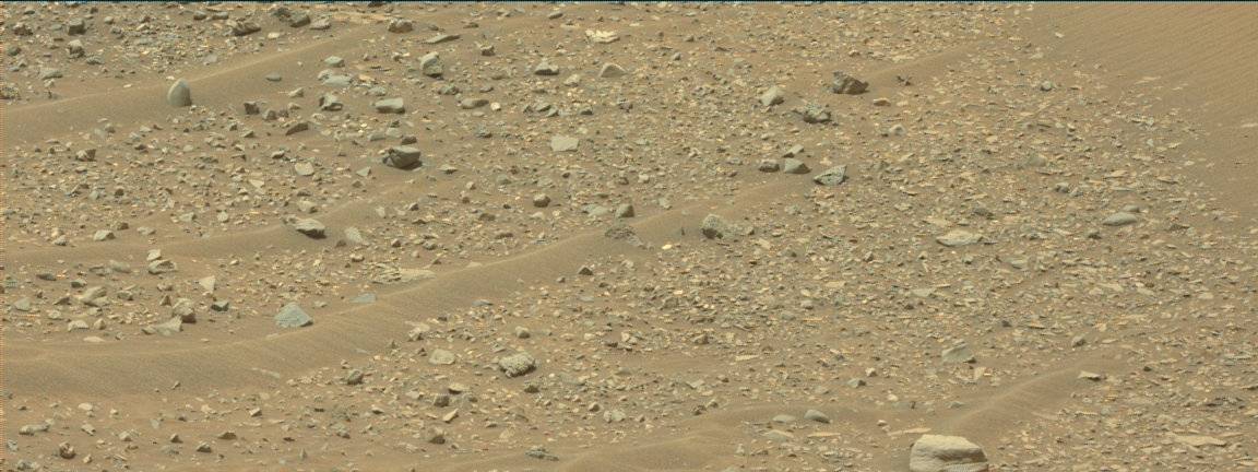 Nasa's Mars rover Curiosity acquired this image using its Mast Camera (Mastcam) on Sol 969