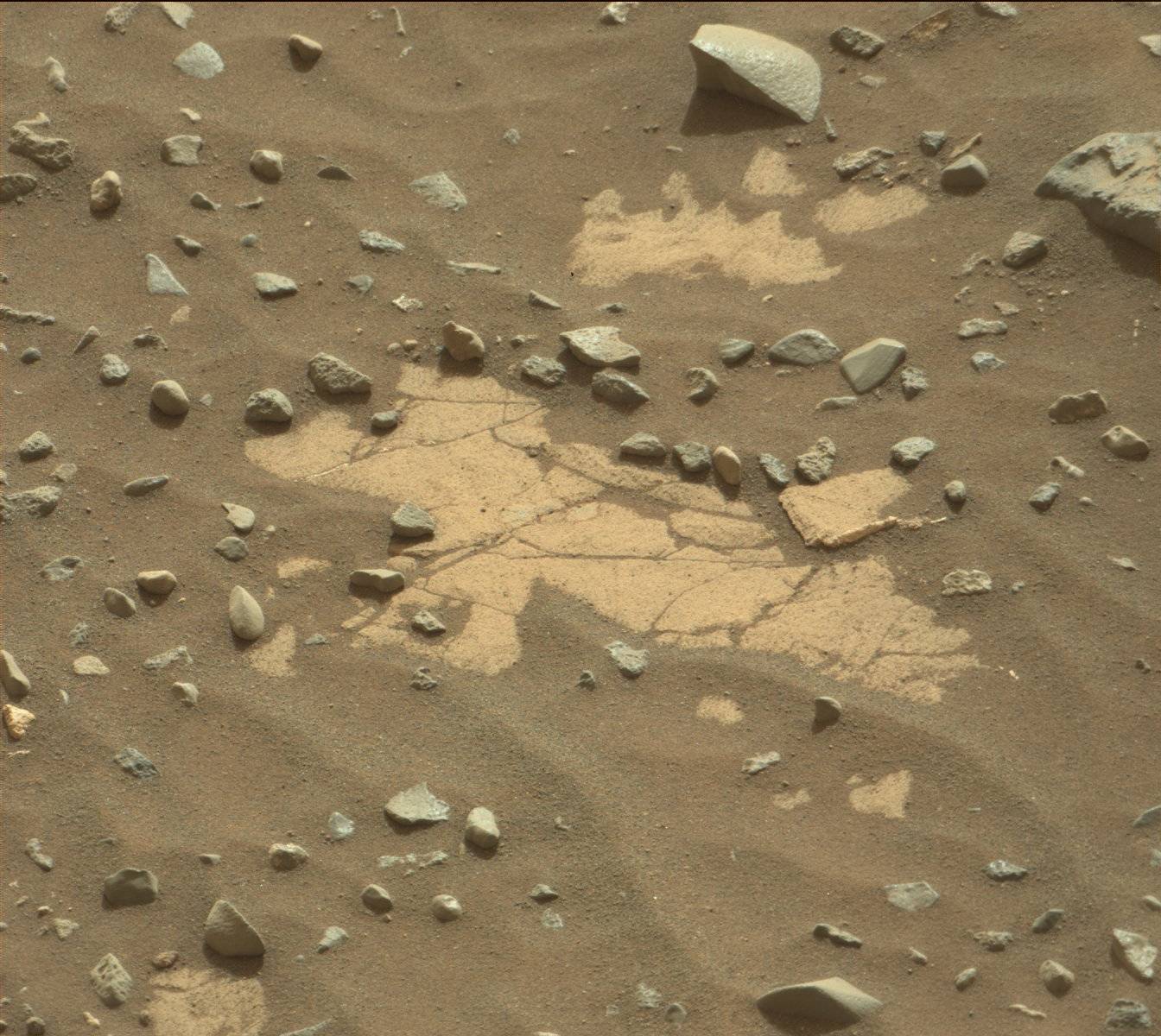 Nasa's Mars rover Curiosity acquired this image using its Mast Camera (Mastcam) on Sol 970