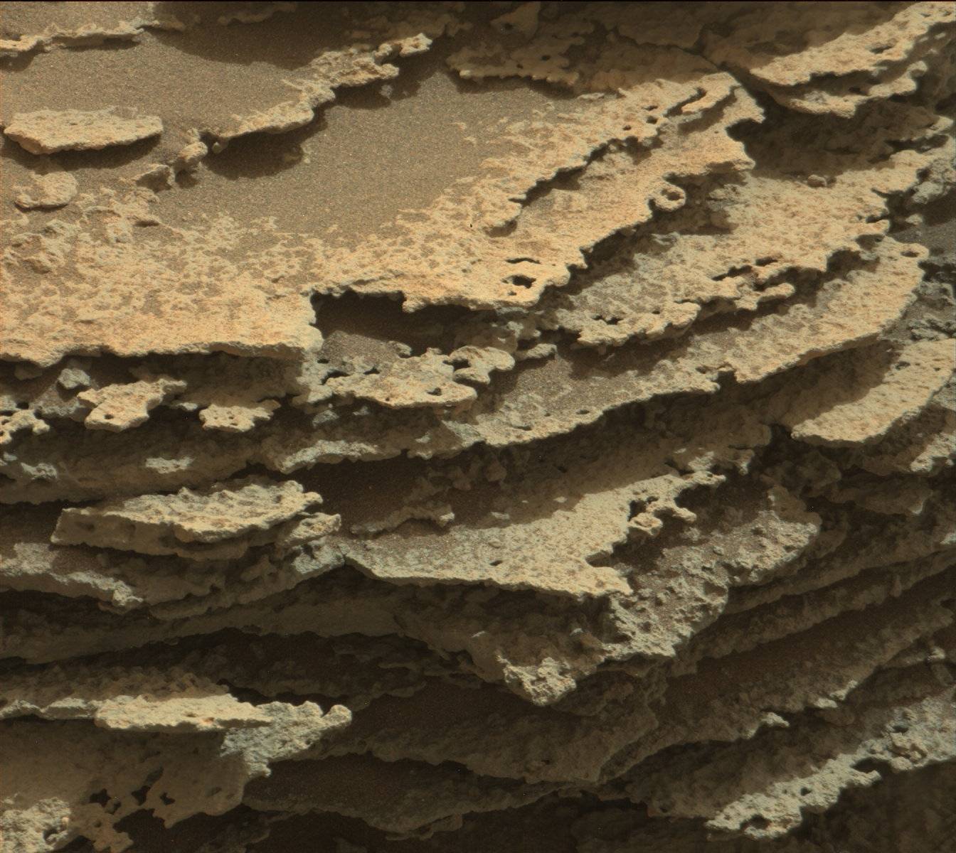 Nasa's Mars rover Curiosity acquired this image using its Mast Camera (Mastcam) on Sol 973