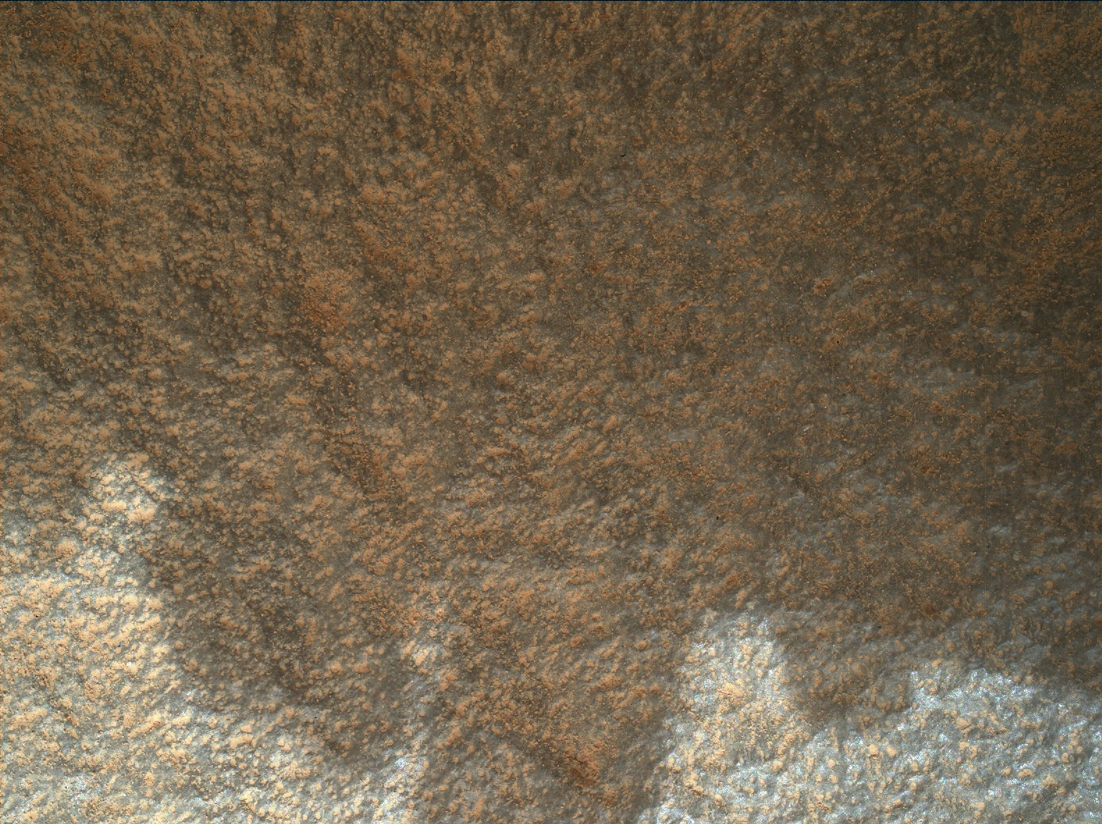 Nasa's Mars rover Curiosity acquired this image using its Mars Hand Lens Imager (MAHLI) on Sol 975
