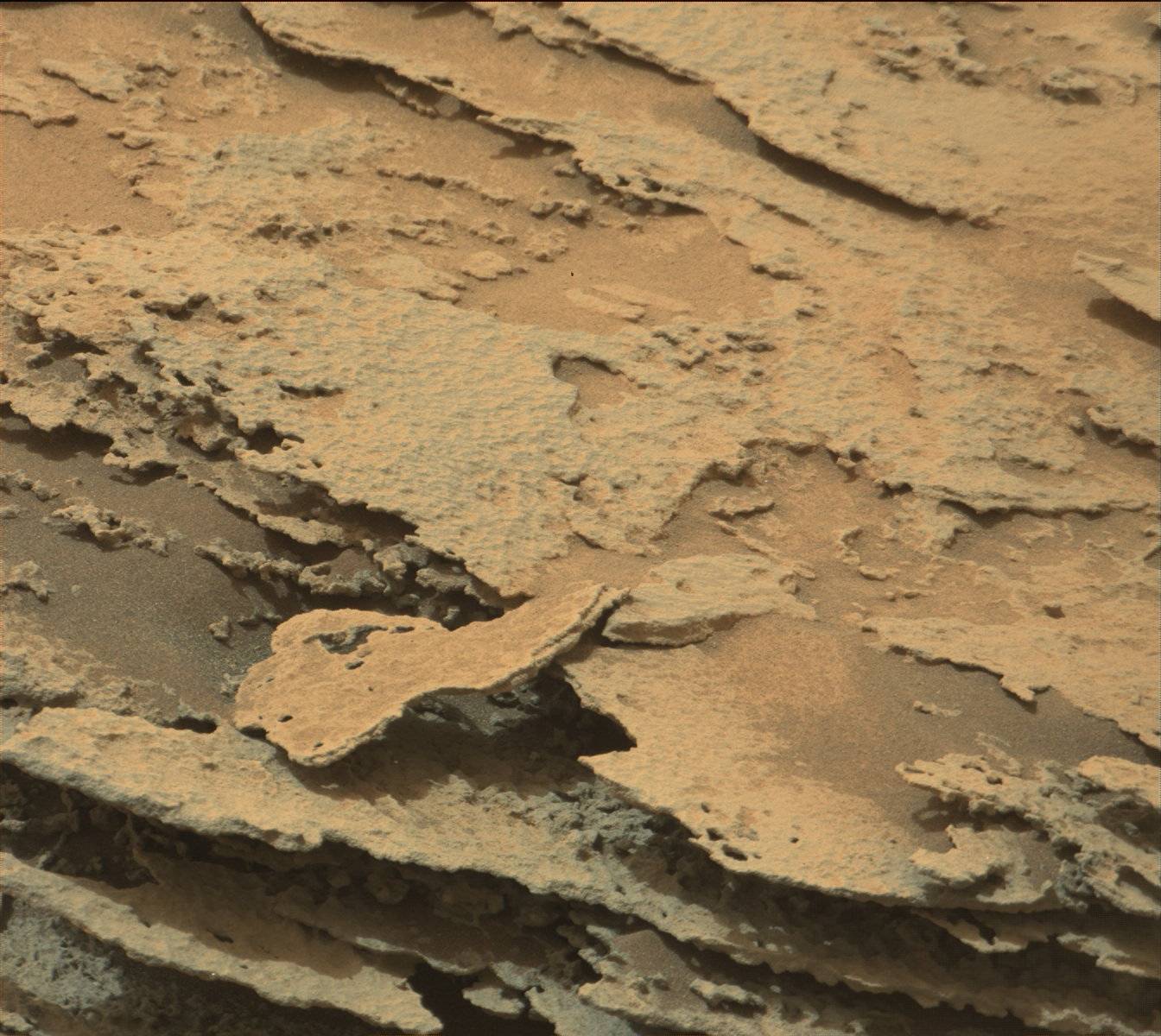 Nasa's Mars rover Curiosity acquired this image using its Mast Camera (Mastcam) on Sol 976