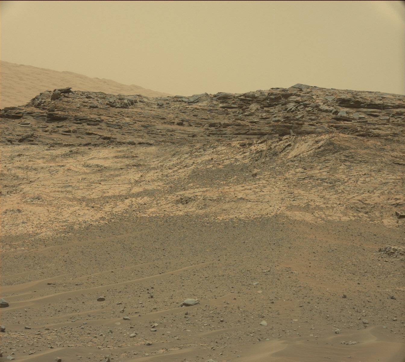 Nasa's Mars rover Curiosity acquired this image using its Mast Camera (Mastcam) on Sol 981