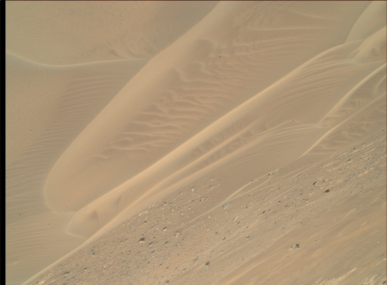 Nasa's Mars rover Curiosity acquired this image using its Mars Hand Lens Imager (MAHLI) on Sol 984
