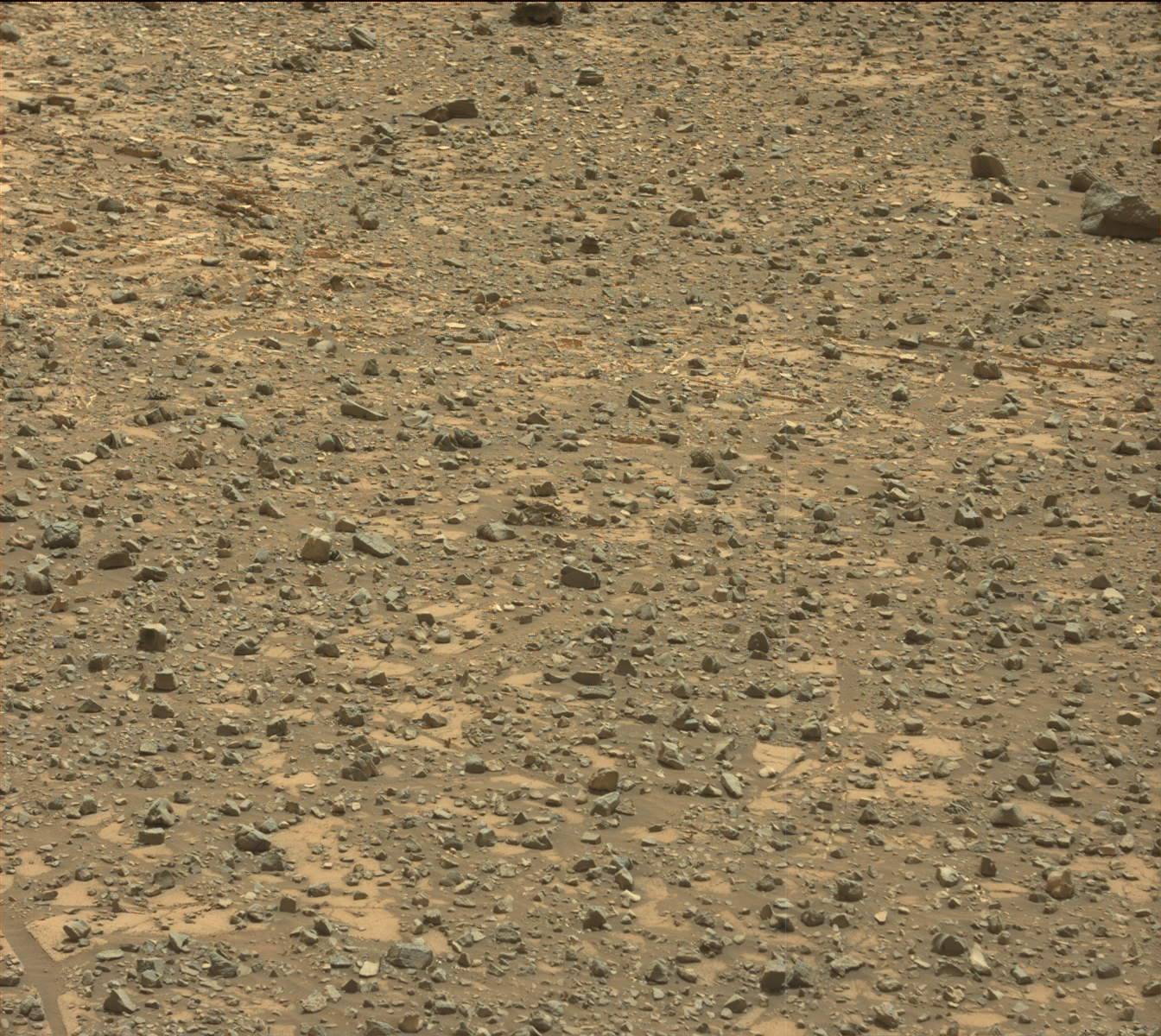 Nasa's Mars rover Curiosity acquired this image using its Mast Camera (Mastcam) on Sol 990
