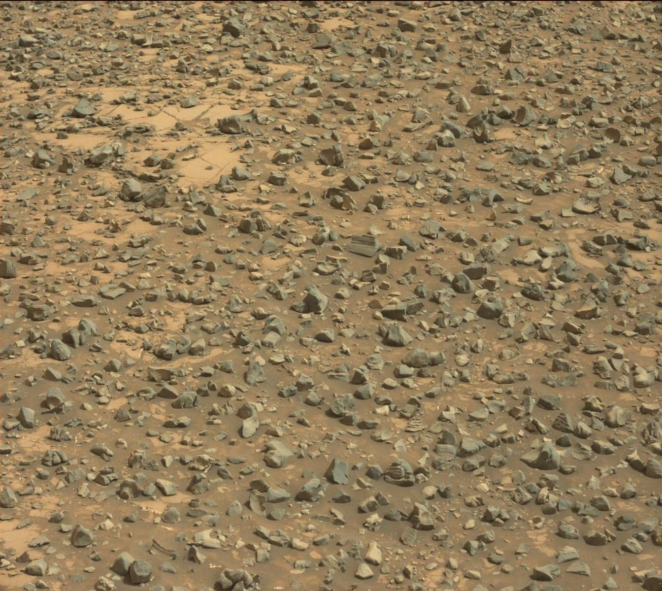 Nasa's Mars rover Curiosity acquired this image using its Mast Camera (Mastcam) on Sol 990