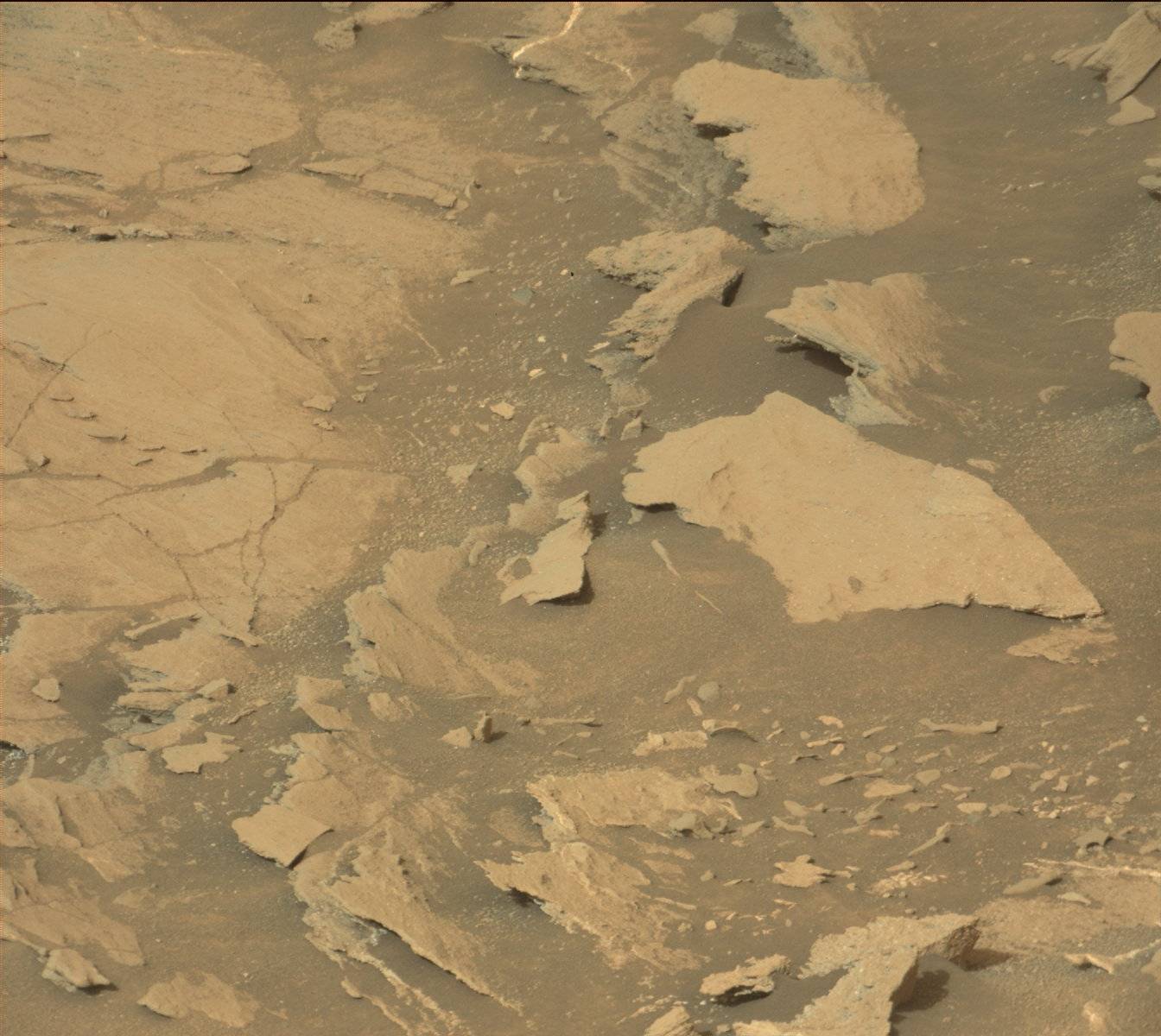 Nasa's Mars rover Curiosity acquired this image using its Mast Camera (Mastcam) on Sol 1029