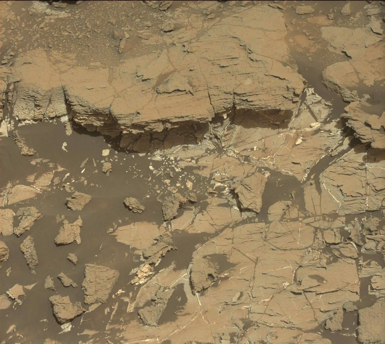 Nasa's Mars rover Curiosity acquired this image using its Mast Camera (Mastcam) on Sol 1030
