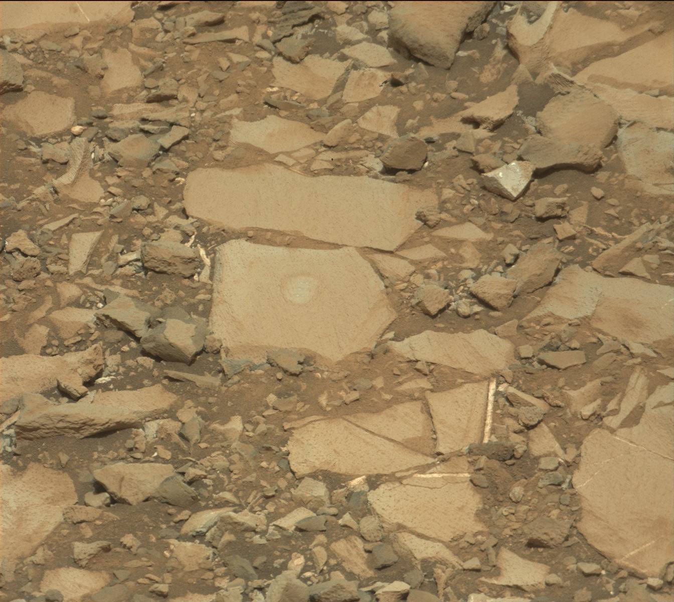Nasa's Mars rover Curiosity acquired this image using its Mast Camera (Mastcam) on Sol 1041