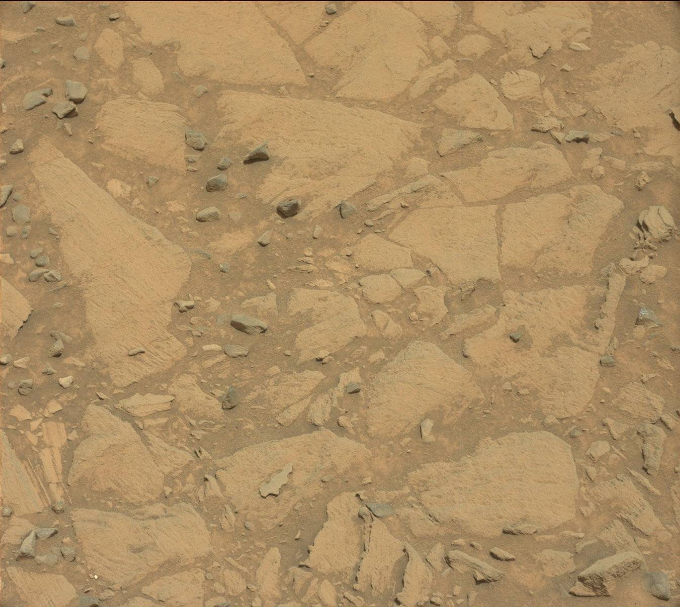 Nasa's Mars rover Curiosity acquired this image using its Mast Camera (Mastcam) on Sol 1042