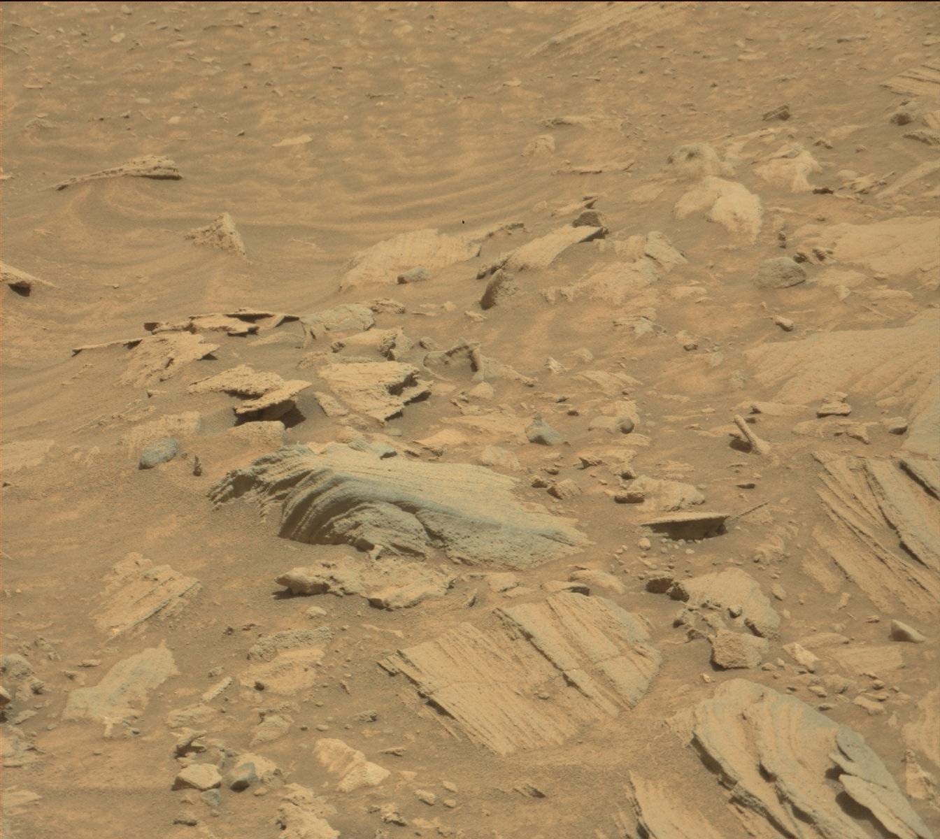 Nasa's Mars rover Curiosity acquired this image using its Mast Camera (Mastcam) on Sol 1044