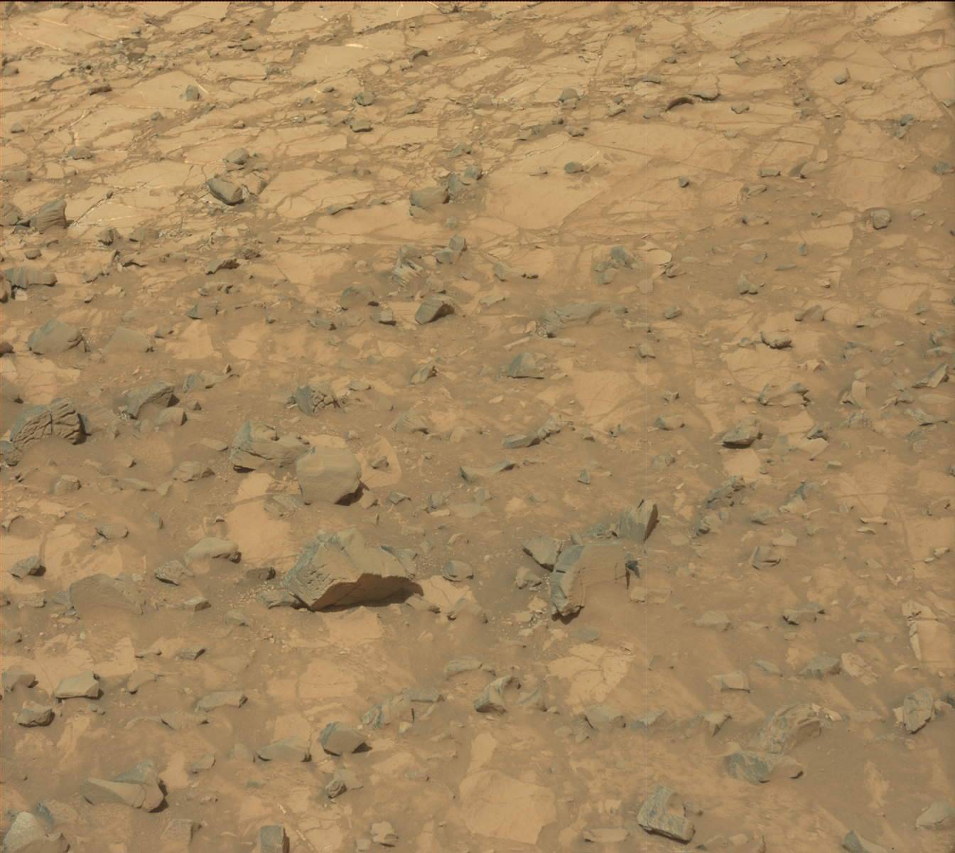Nasa's Mars rover Curiosity acquired this image using its Mast Camera (Mastcam) on Sol 1051
