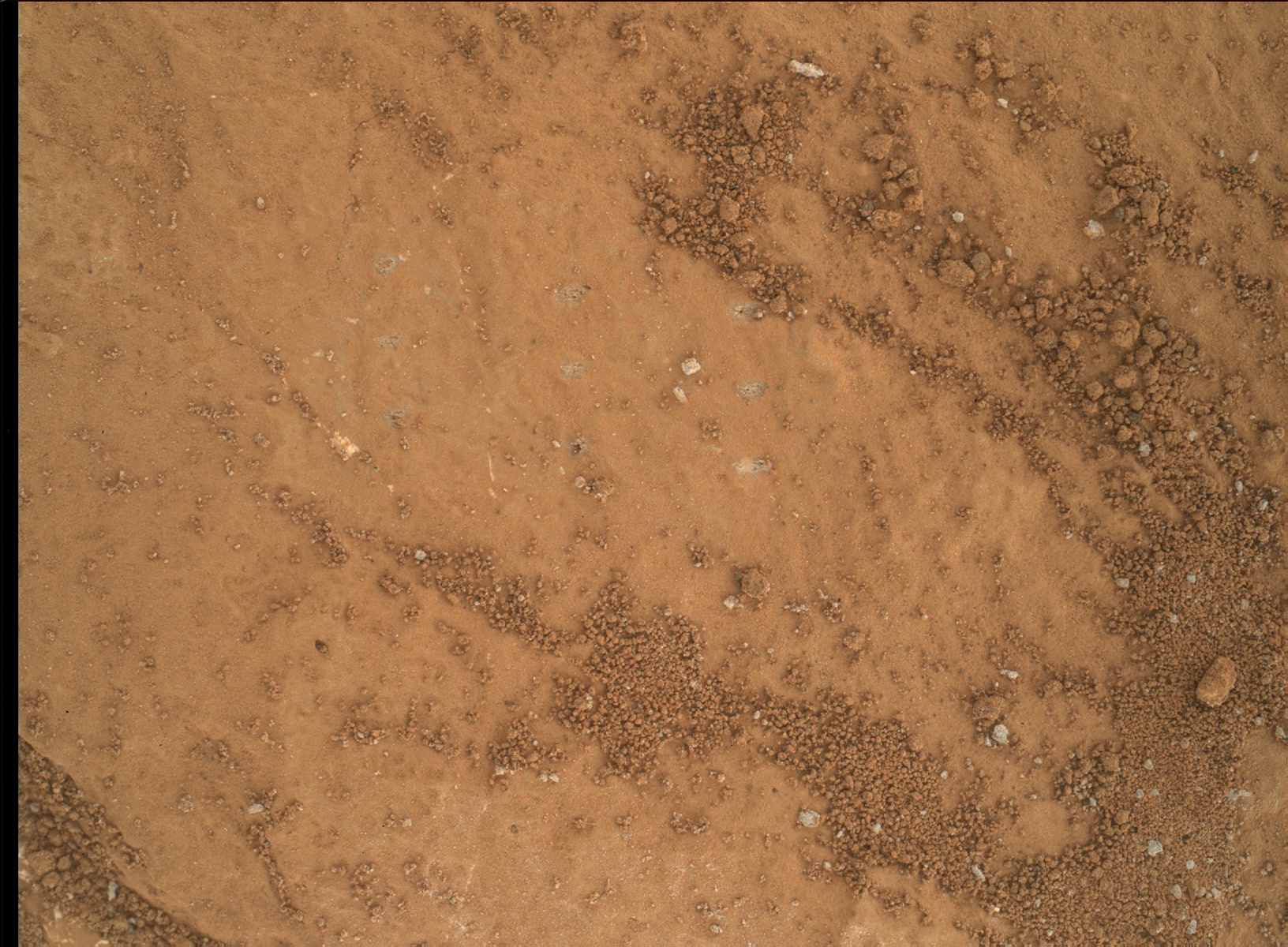 Nasa's Mars rover Curiosity acquired this image using its Mars Hand Lens Imager (MAHLI) on Sol 1060