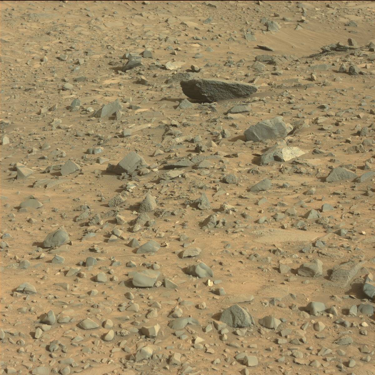 Nasa's Mars rover Curiosity acquired this image using its Mast Camera (Mastcam) on Sol 1081