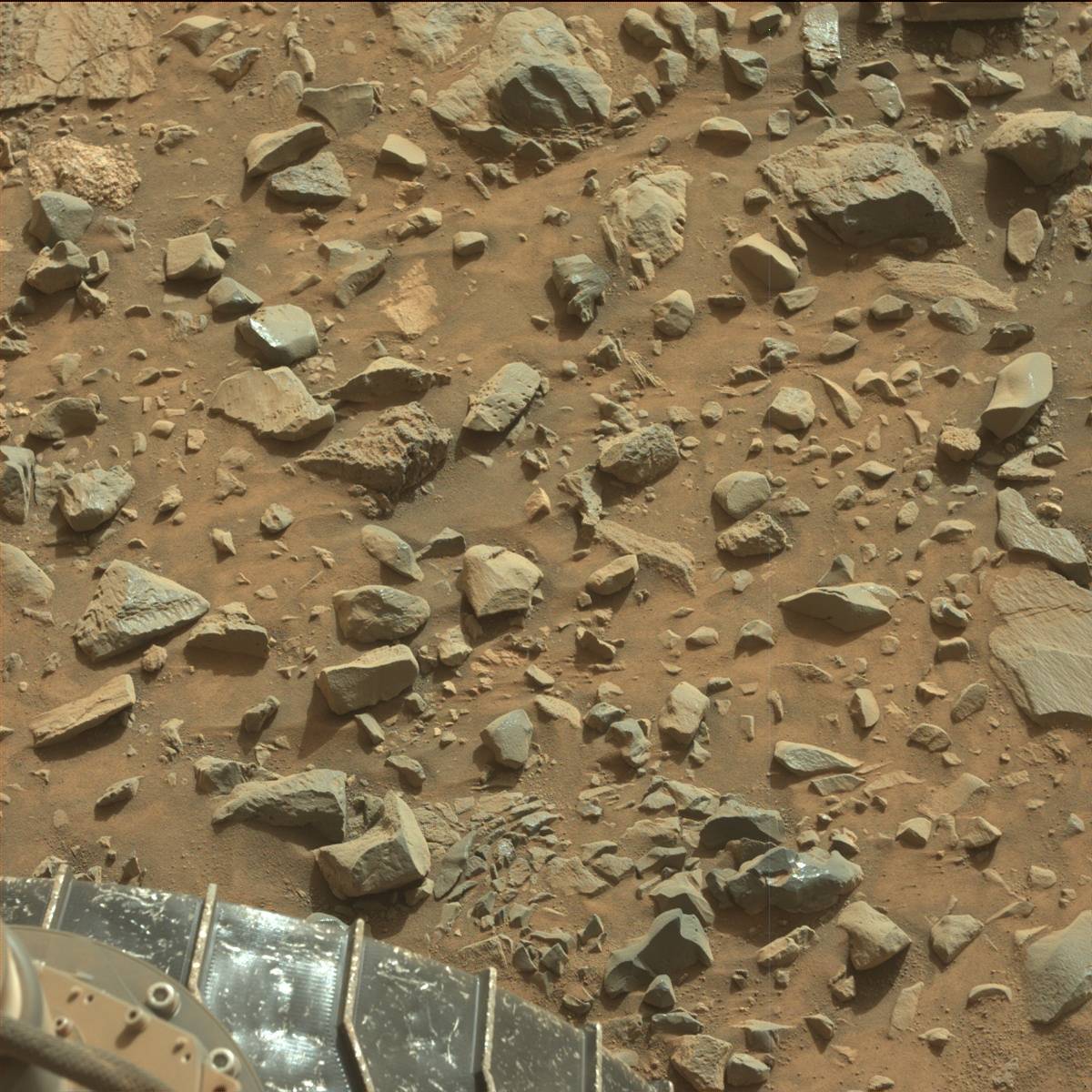 Nasa's Mars rover Curiosity acquired this image using its Mast Camera (Mastcam) on Sol 1081