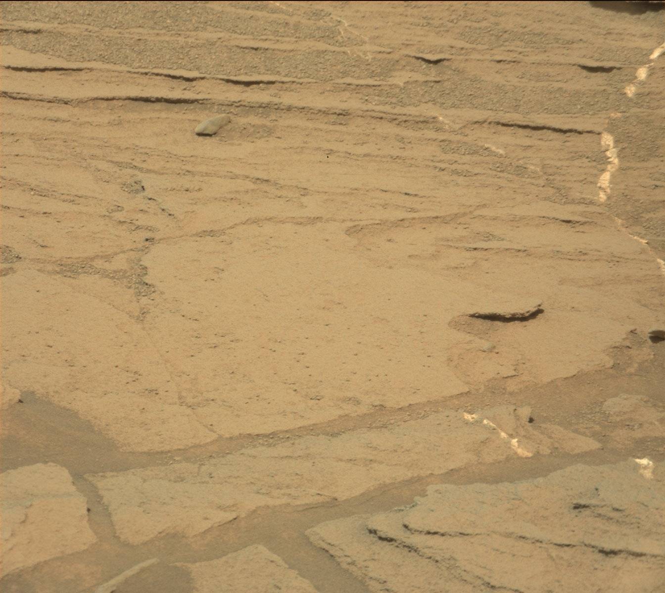 Nasa's Mars rover Curiosity acquired this image using its Mast Camera (Mastcam) on Sol 1089