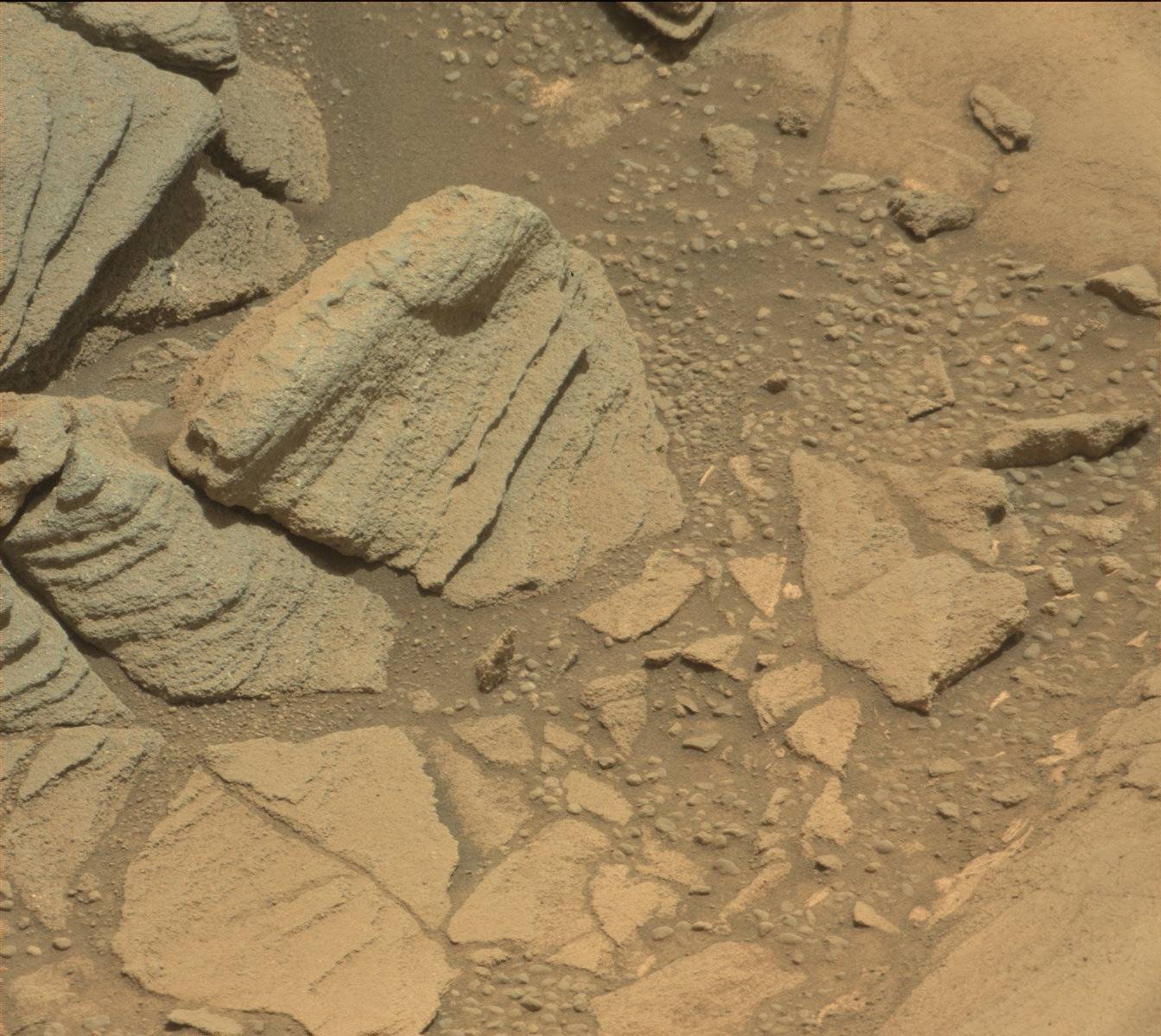 Nasa's Mars rover Curiosity acquired this image using its Mast Camera (Mastcam) on Sol 1095