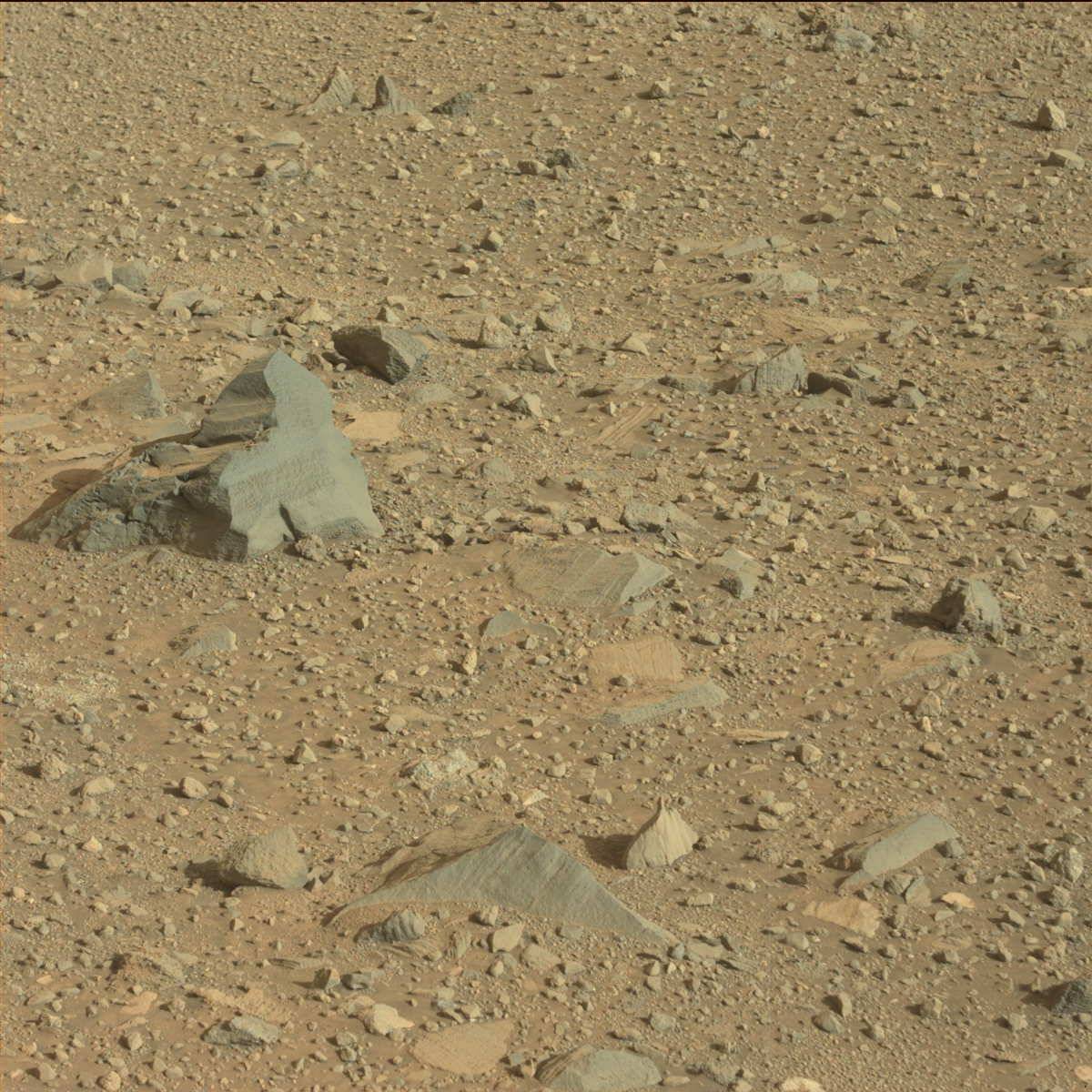 Nasa's Mars rover Curiosity acquired this image using its Mast Camera (Mastcam) on Sol 1100
